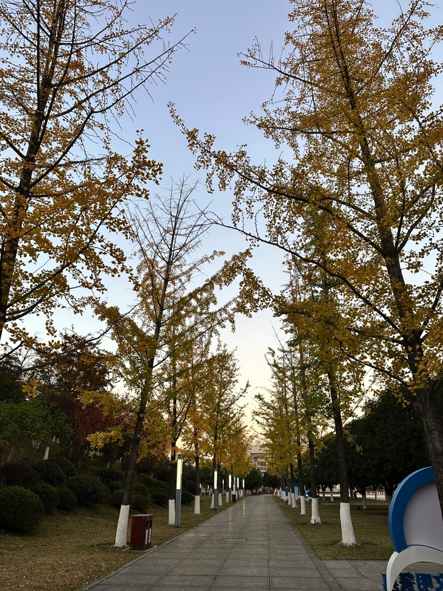 湘府文化公园旅行图片 3