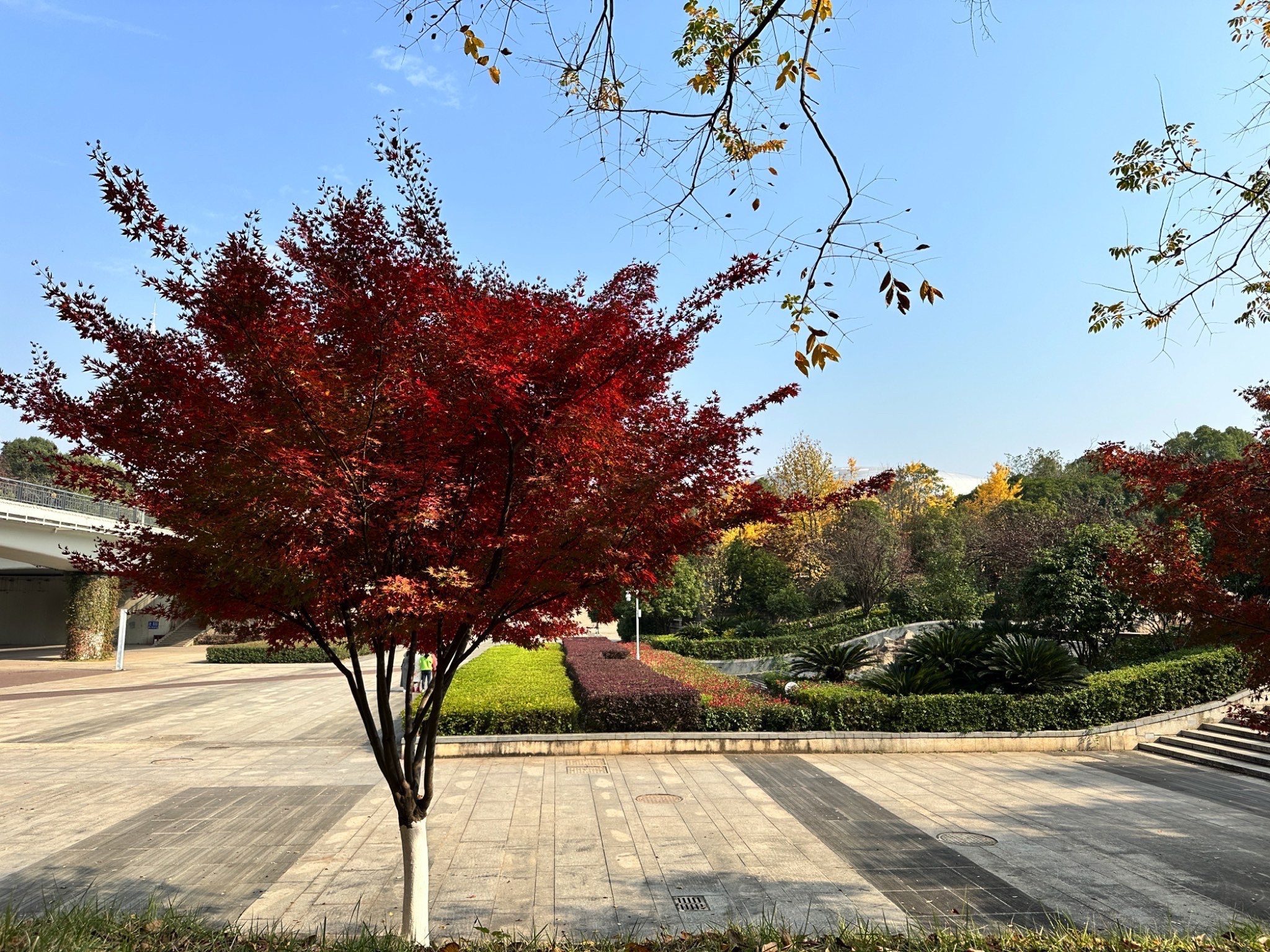 湘府文化公园旅行图片 1