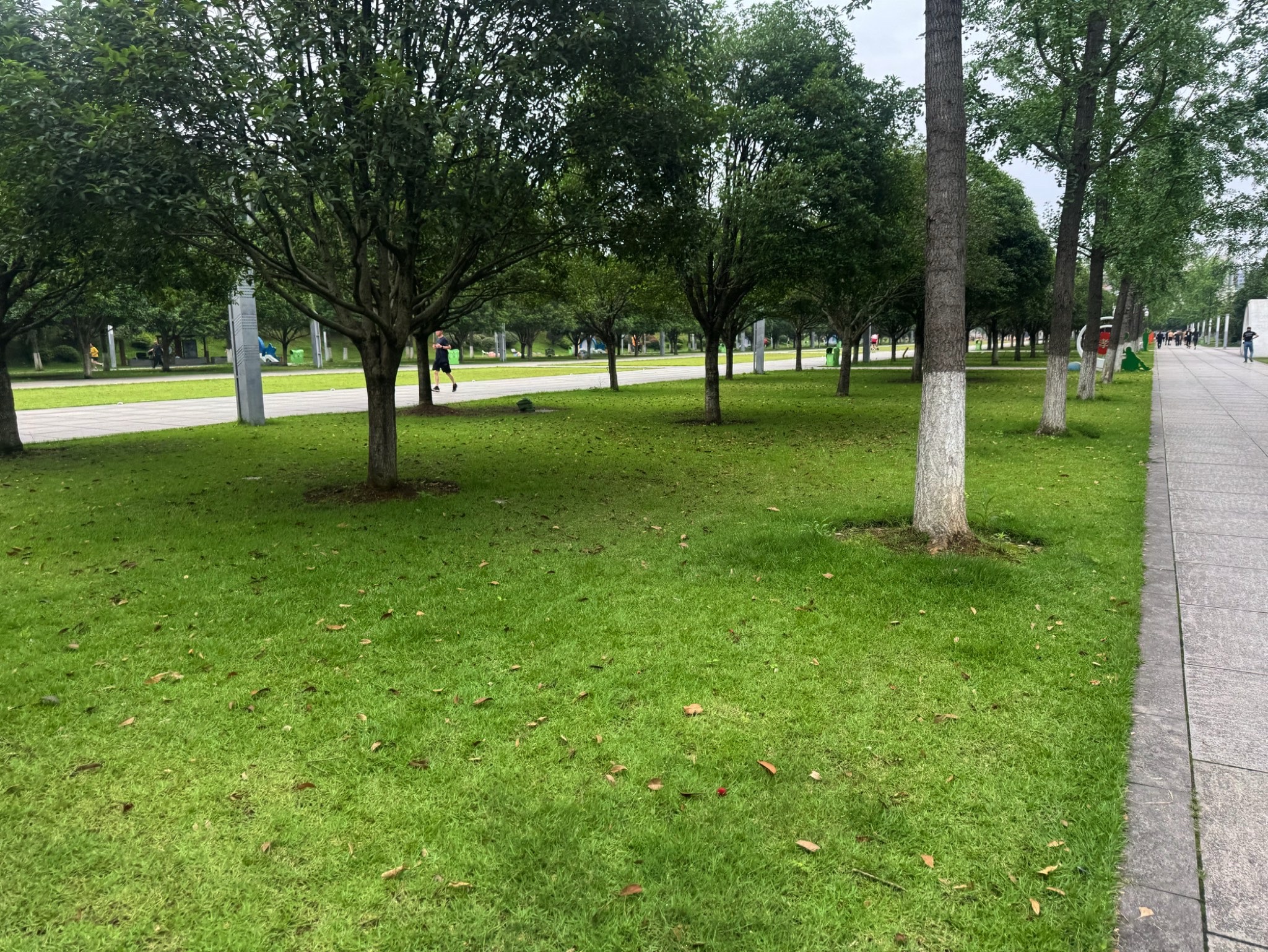 湘府文化公园旅行图片 1