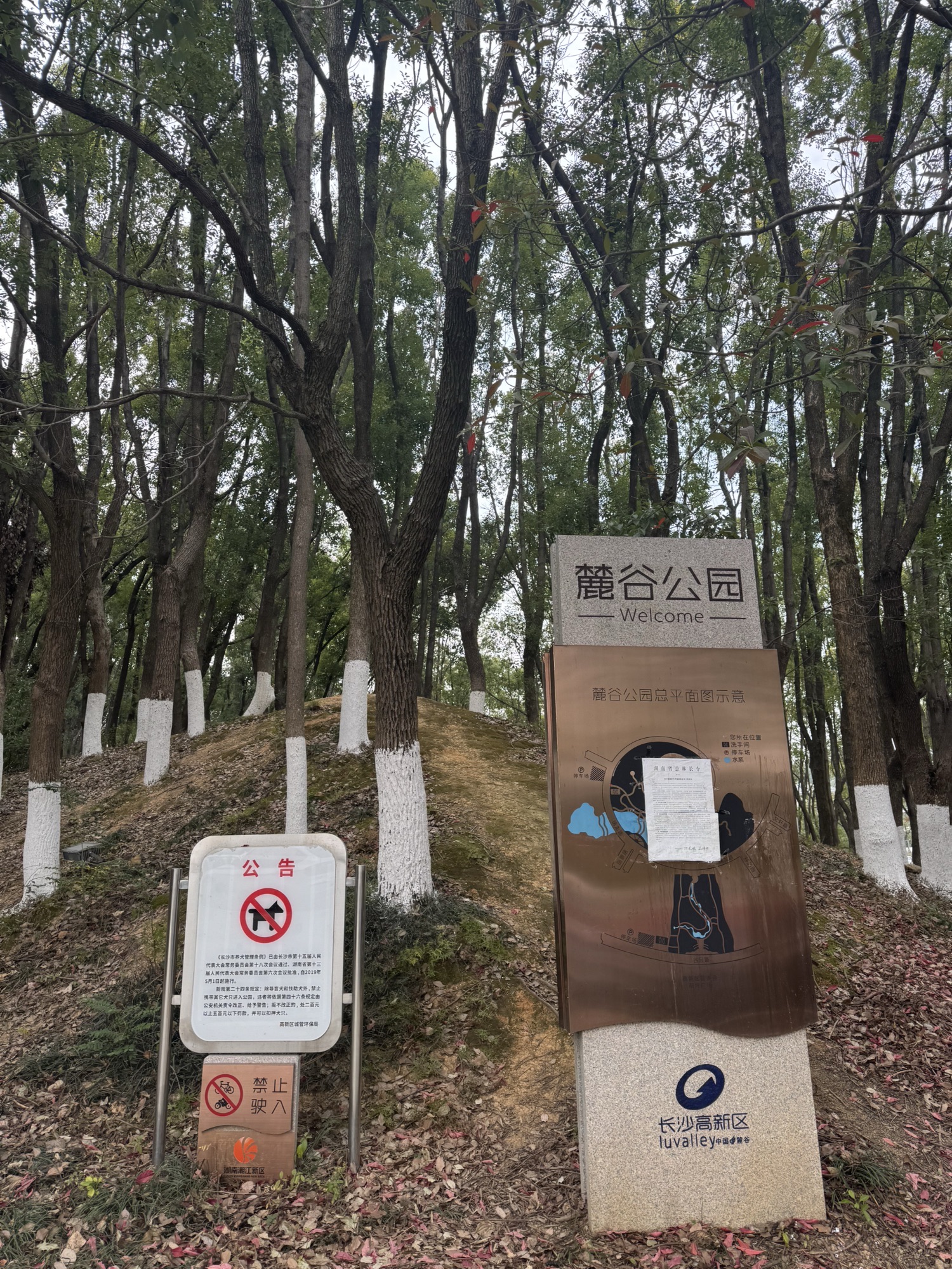麓谷公园旅行图片 1