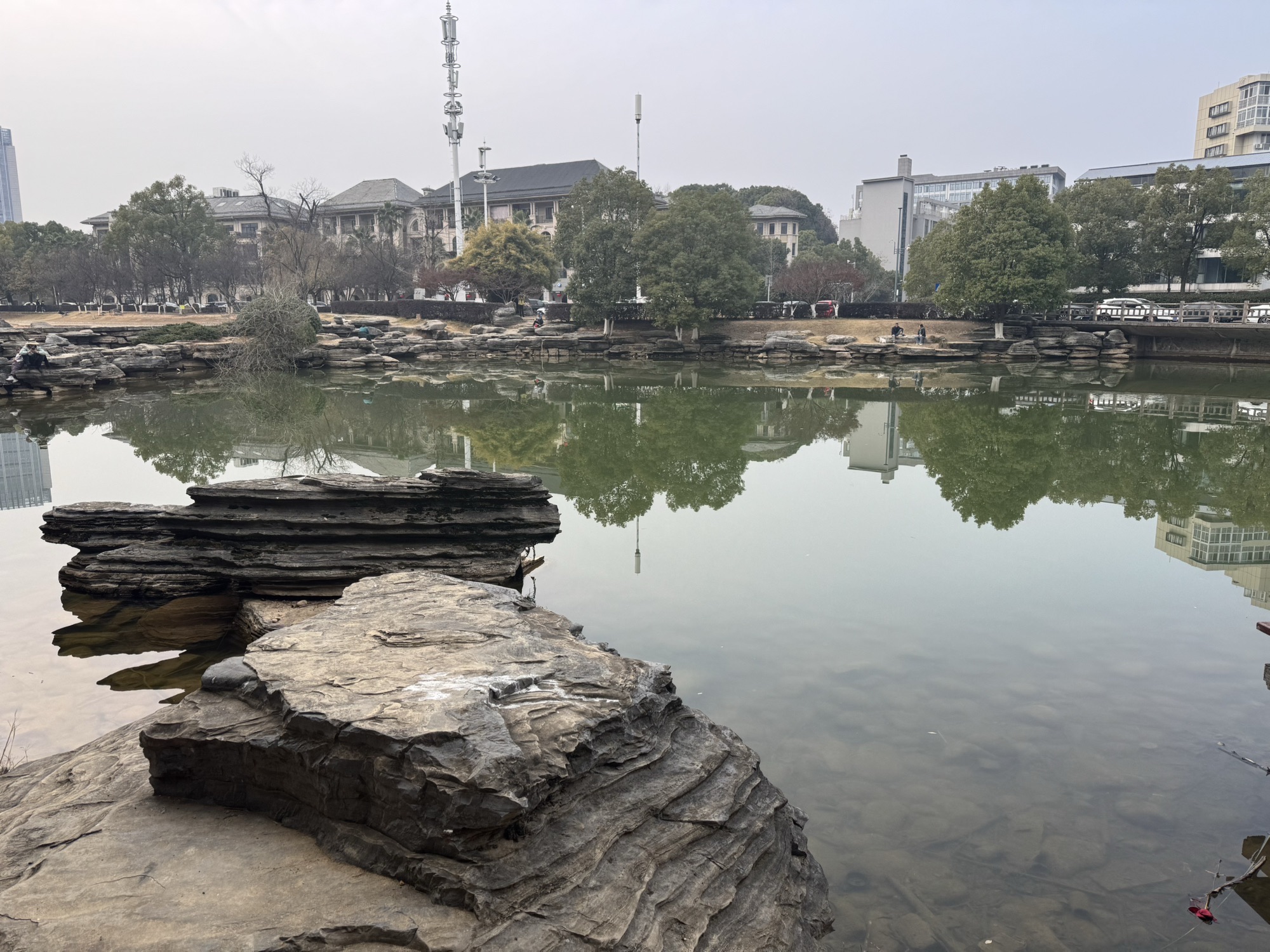 麓谷公园旅行图片 3
