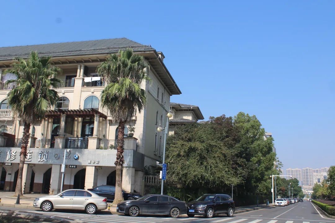 麓谷公园旅行图片 1