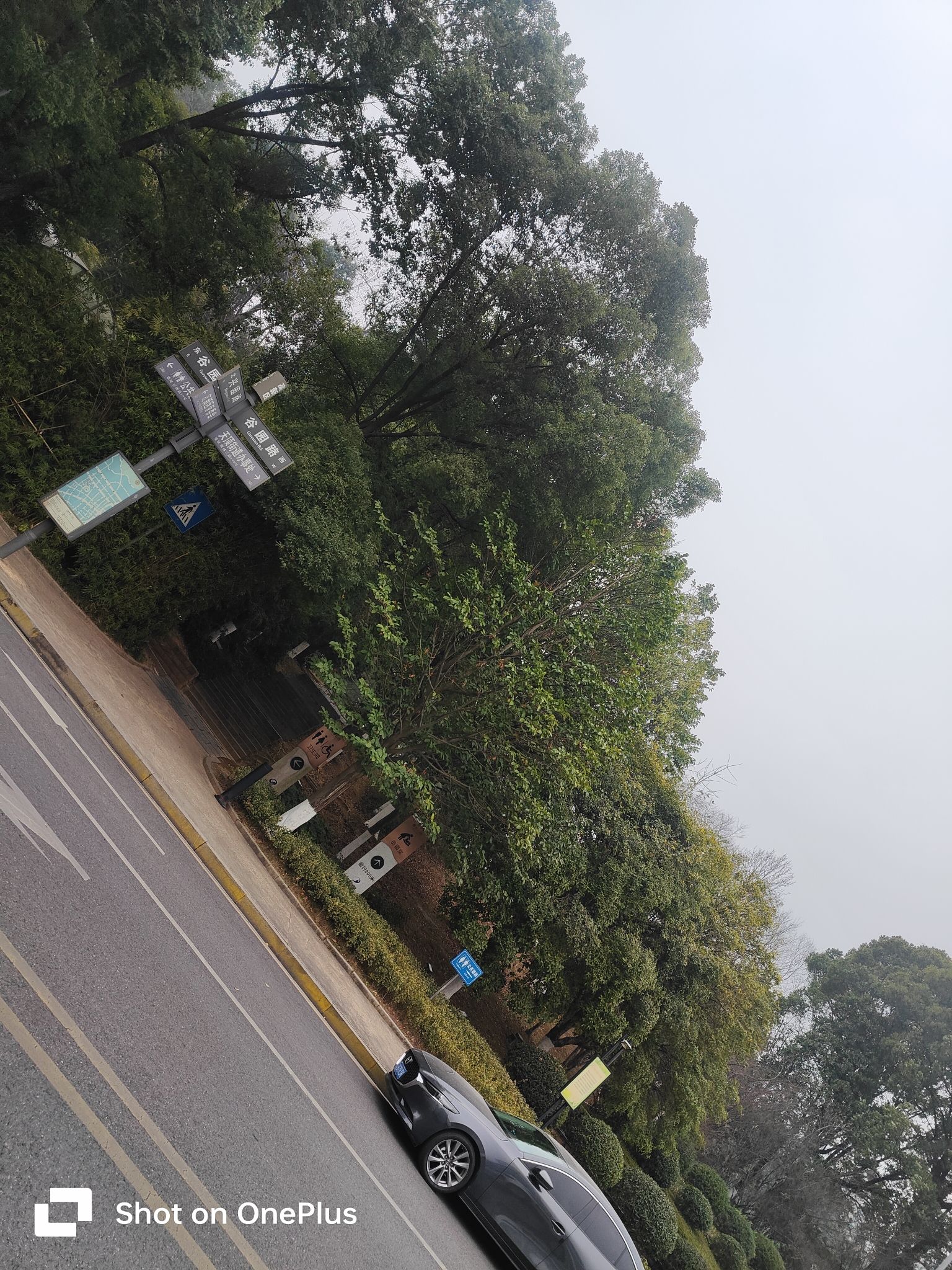 麓谷公园旅行图片 2