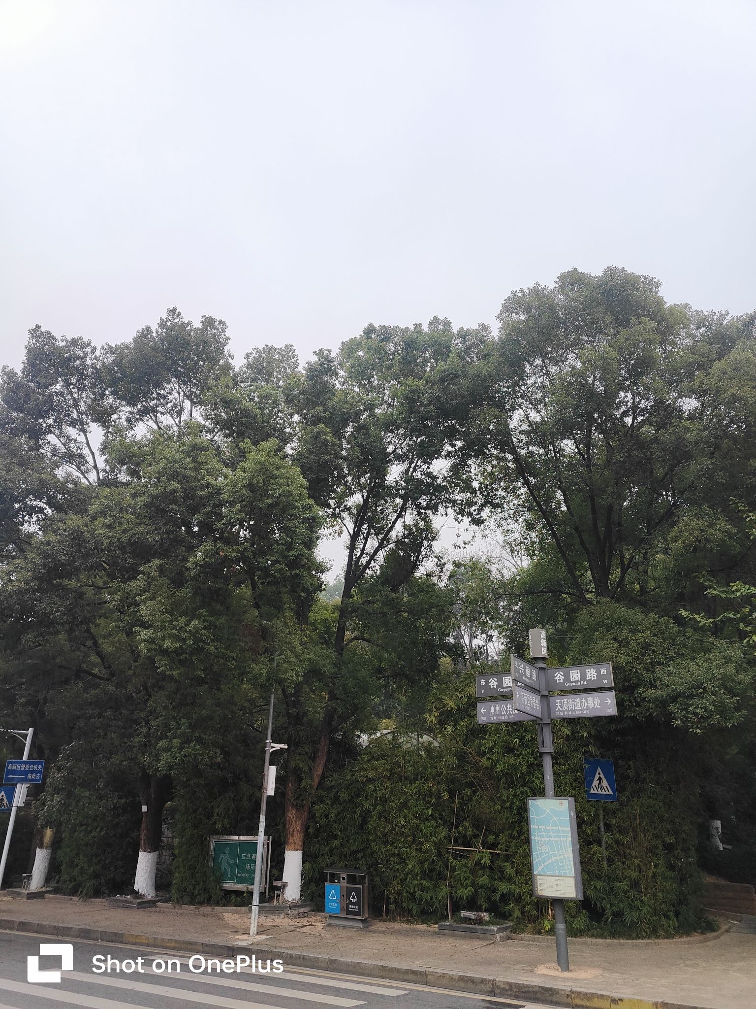 麓谷公园旅行图片 3