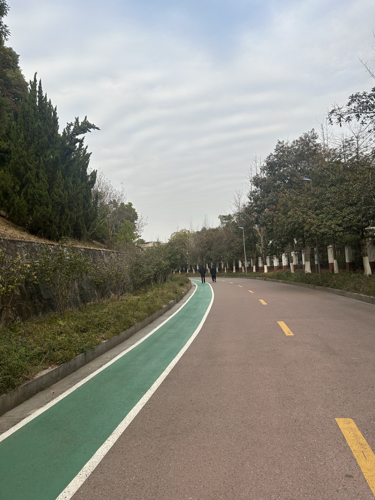 麓谷公园旅行图片 3
