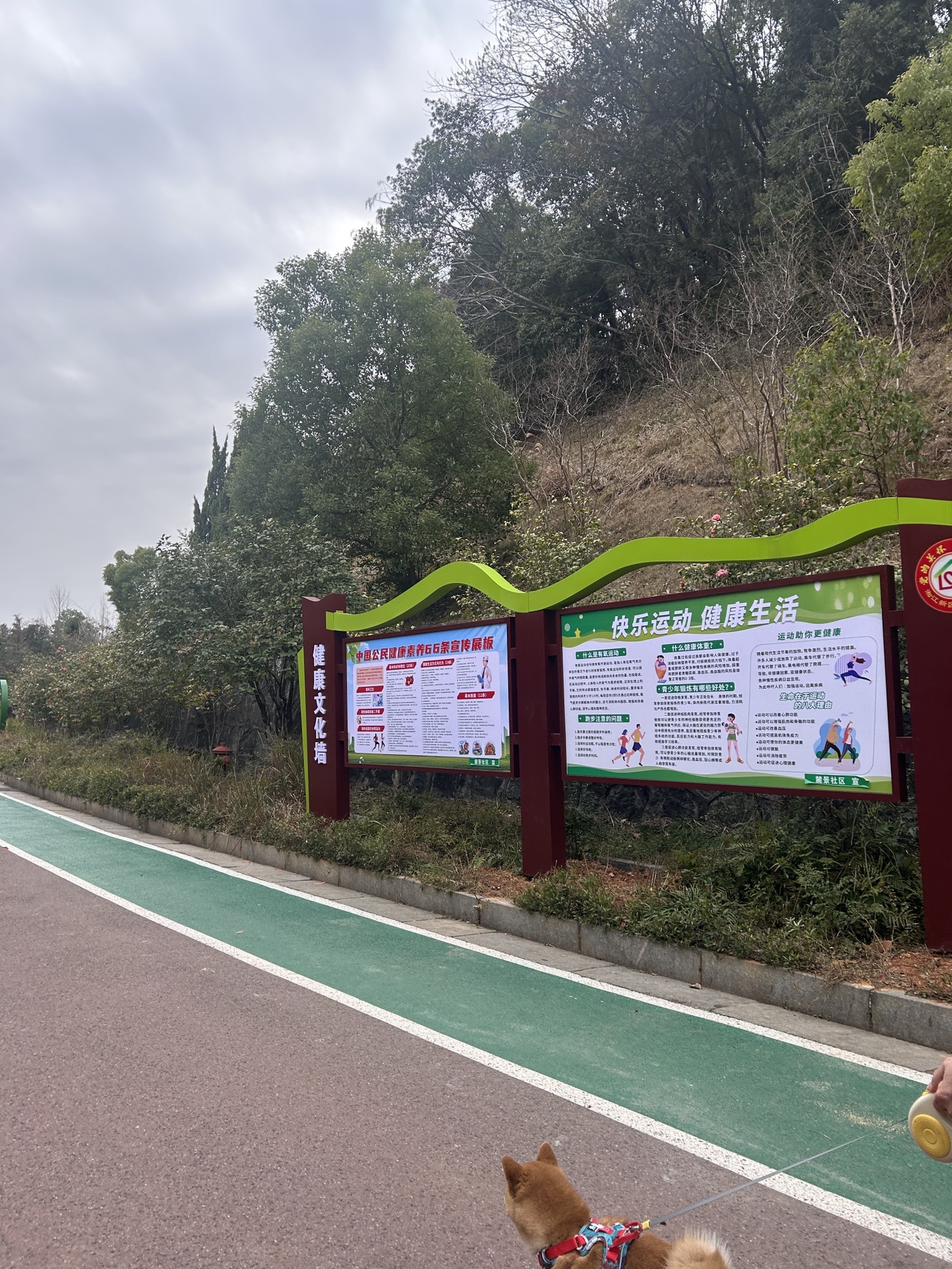 麓谷公园旅行图片 1