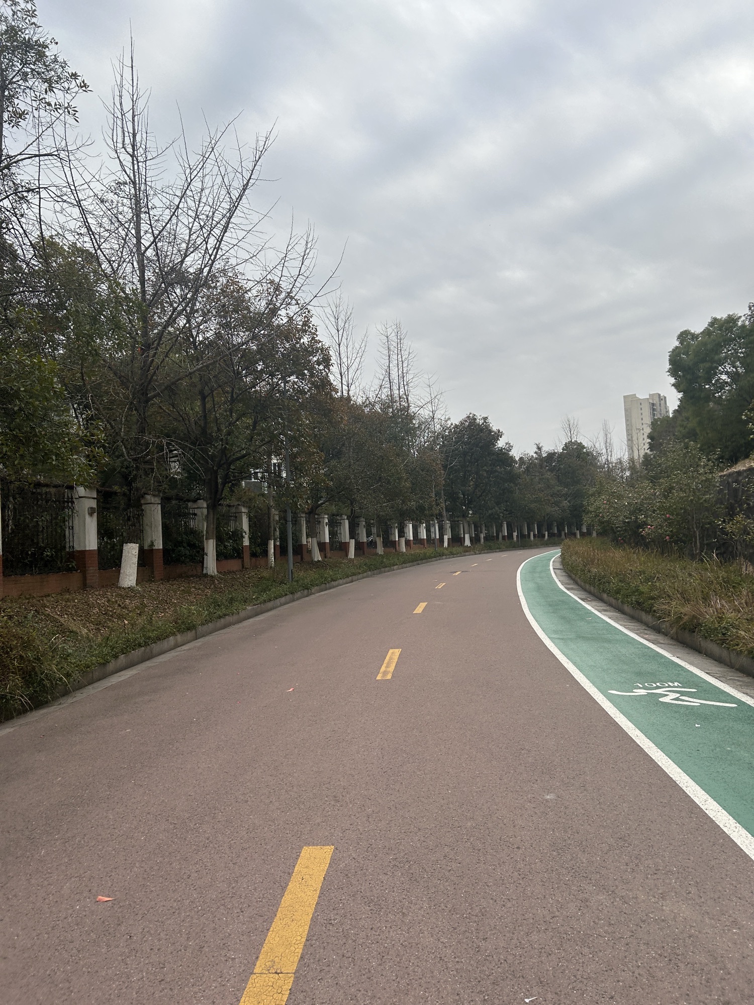 麓谷公园旅行图片 2