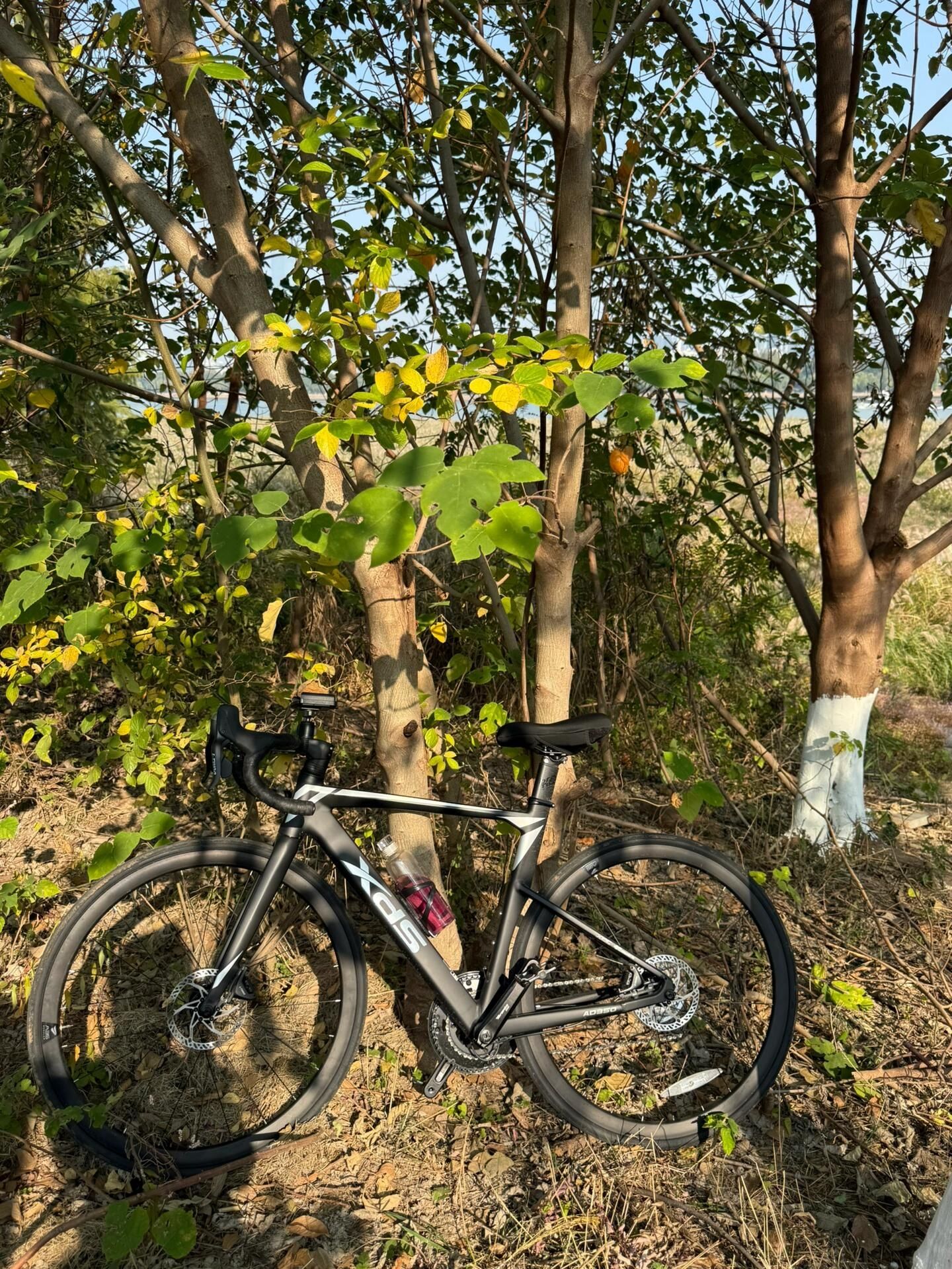 长沙湘江风光带旅行图片 1