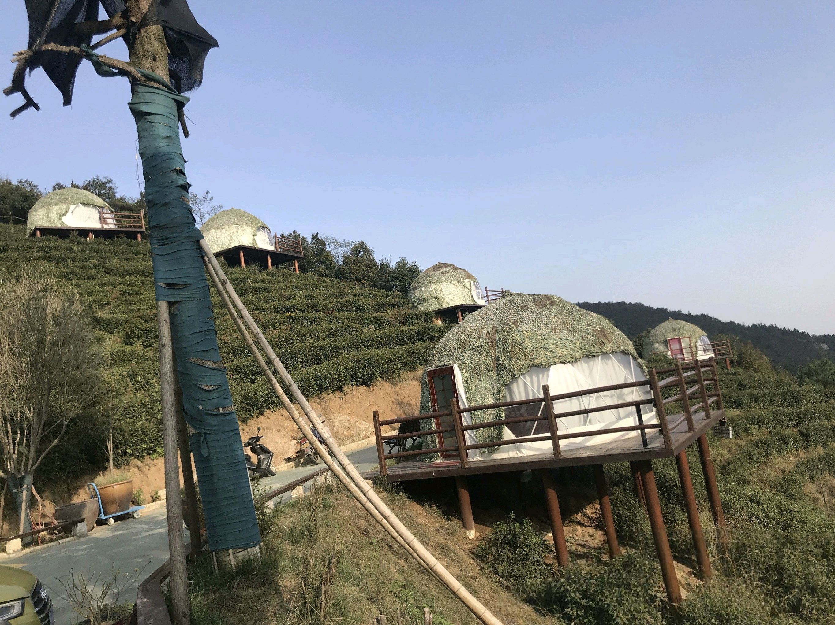 长沙黑麋峰森林公园旅行图片 2