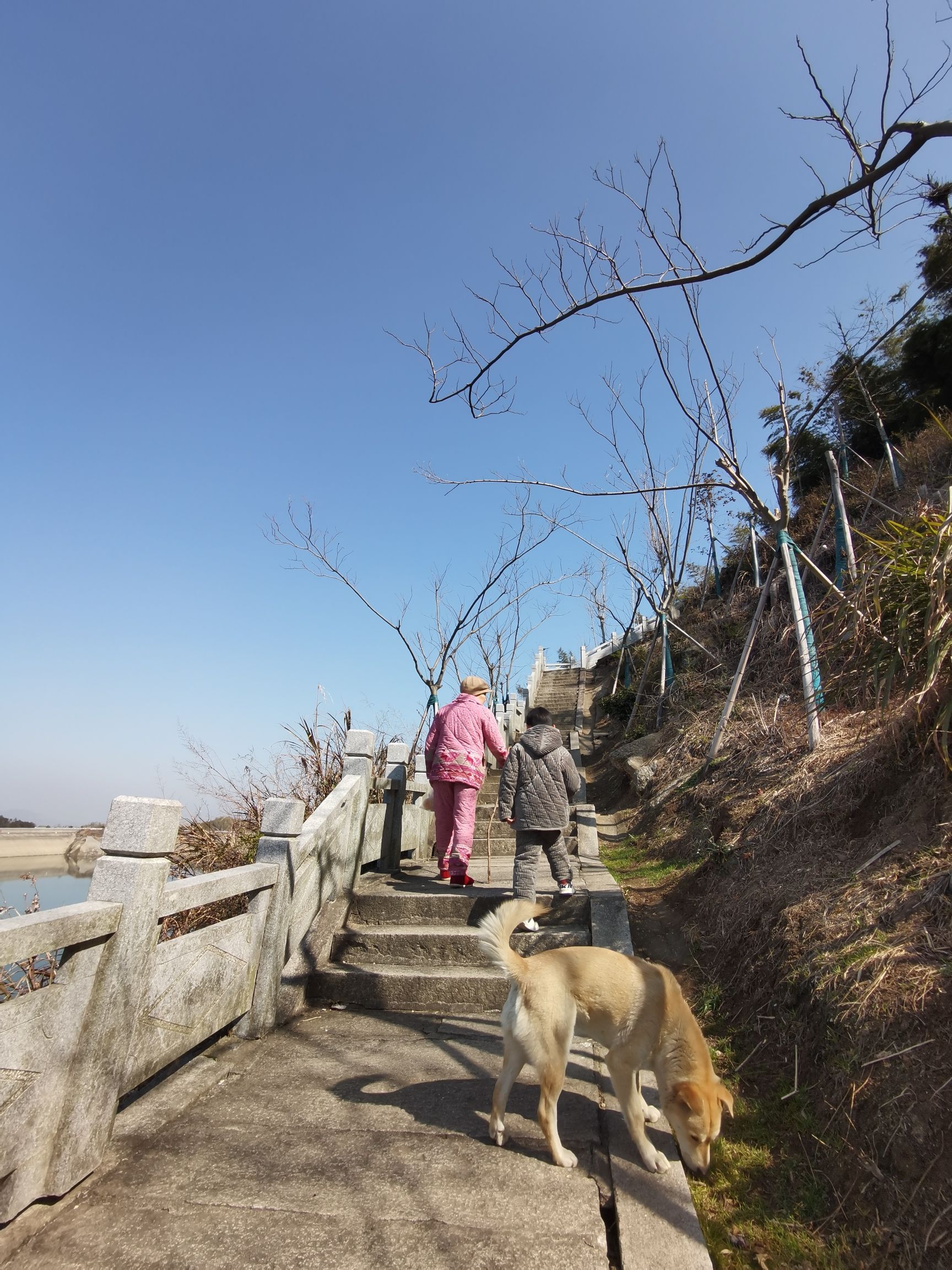 长沙黑麋峰森林公园旅行图片 2