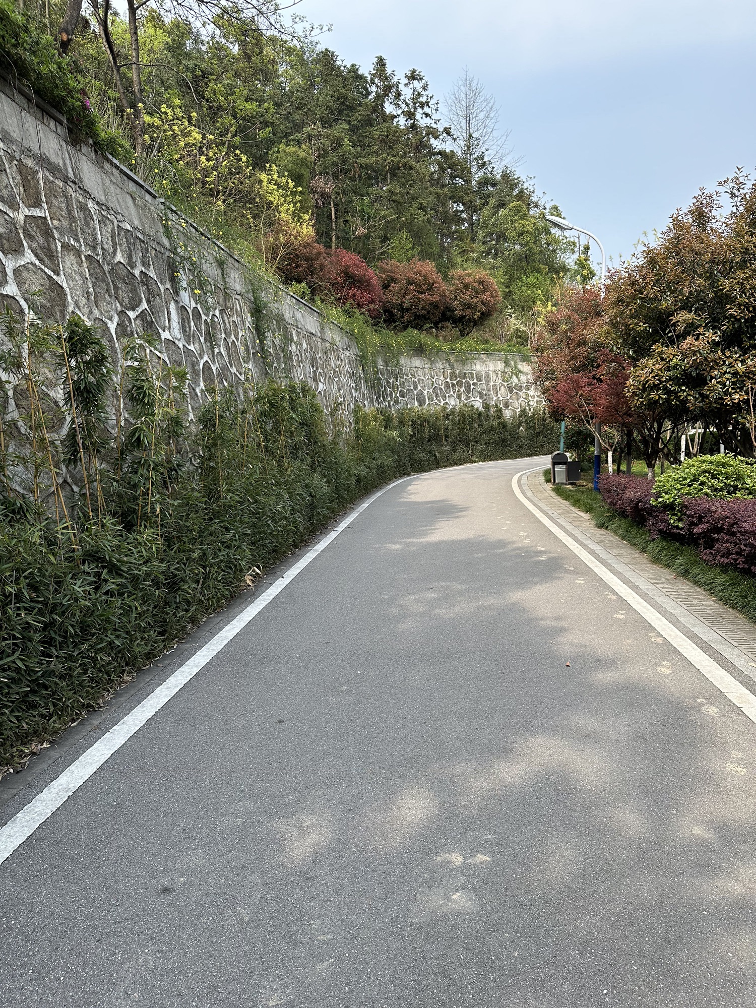 金峰公园旅行图片 1