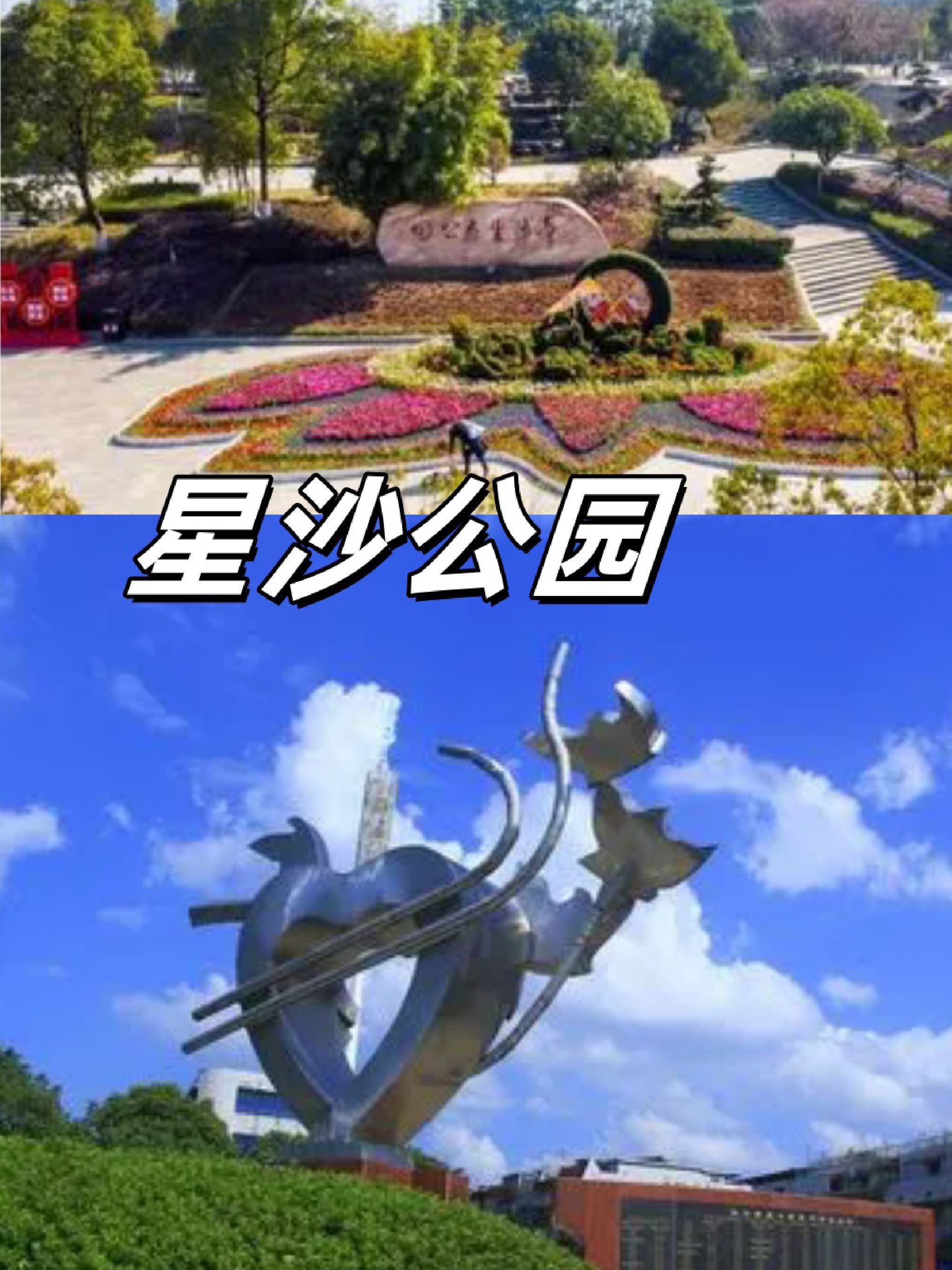 松柏公园旅行图片 1