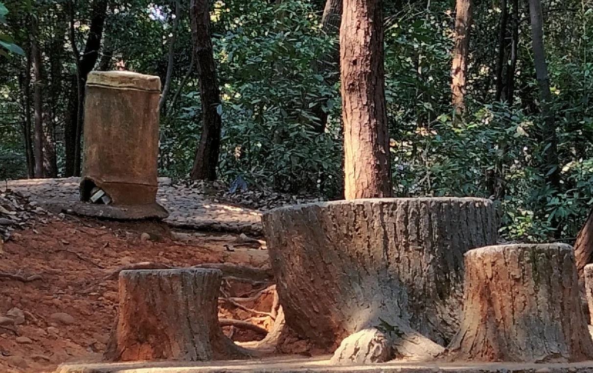 松柏公园旅行图片 2
