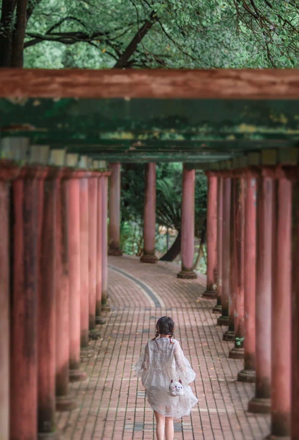 松柏公园旅行图片 3