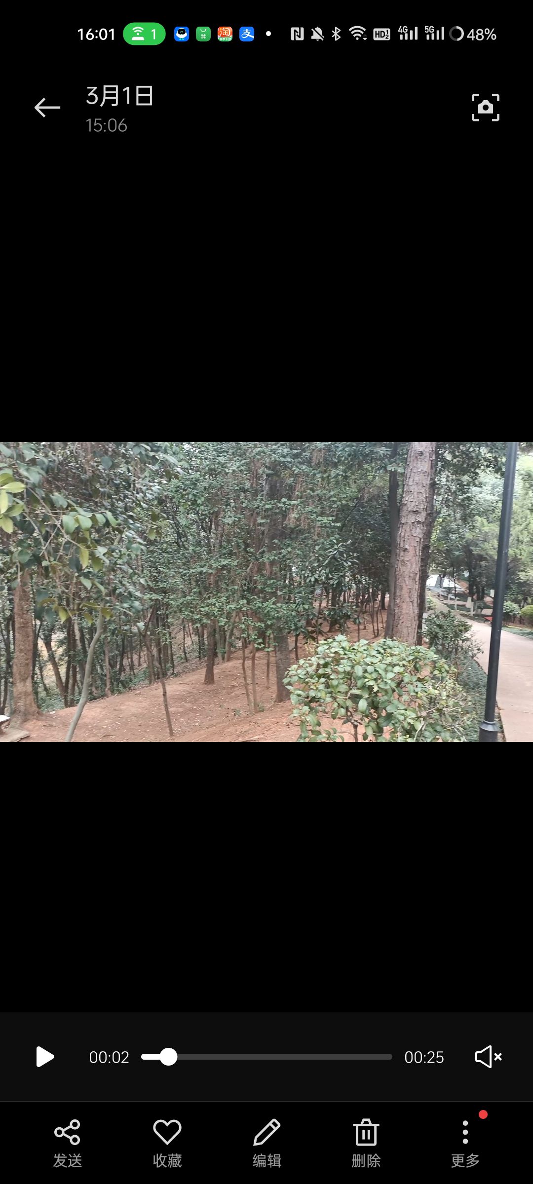 松柏公园旅行图片 2