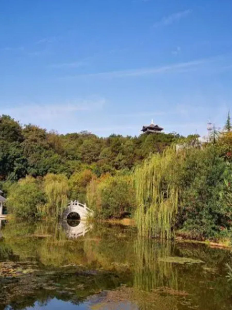 松柏公园旅行图片 3