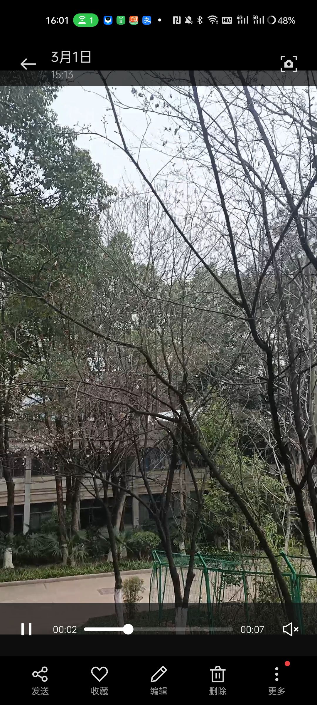 松柏公园旅行图片 1