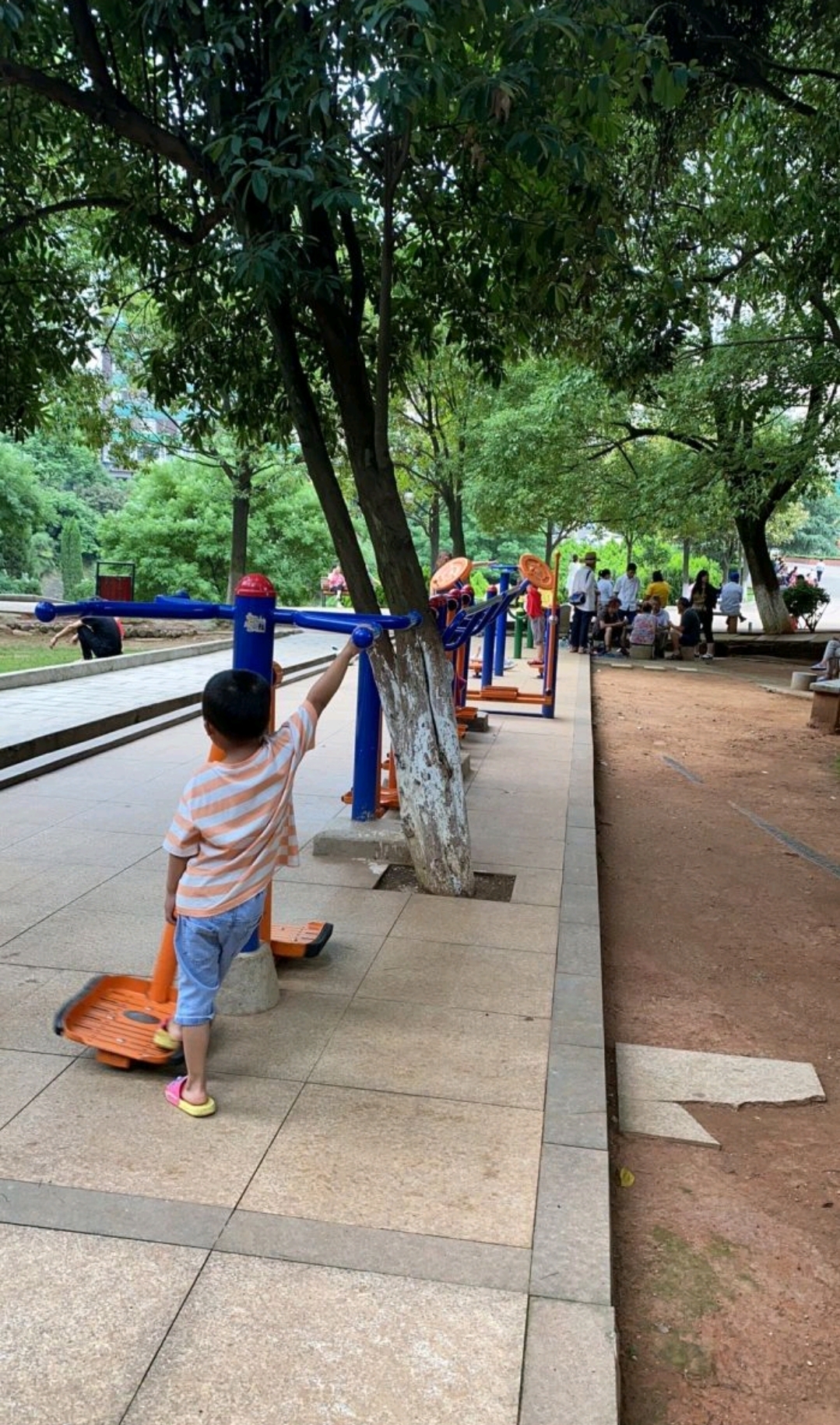 松柏公园旅行图片 2
