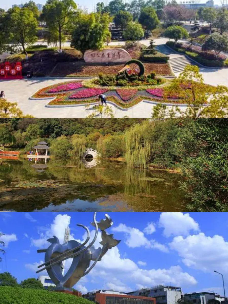 松柏公园旅行图片 2