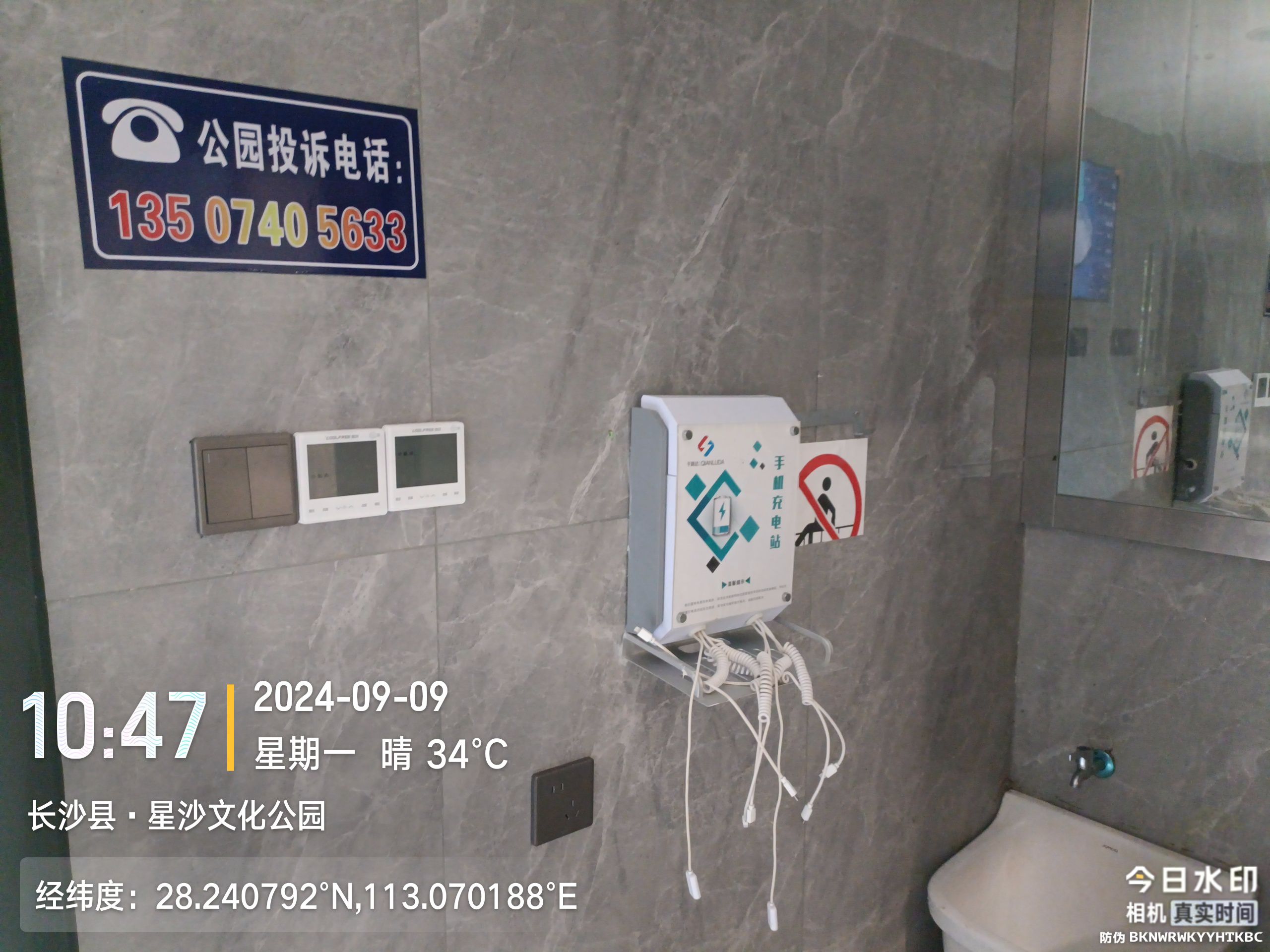 松柏公园旅行图片 3