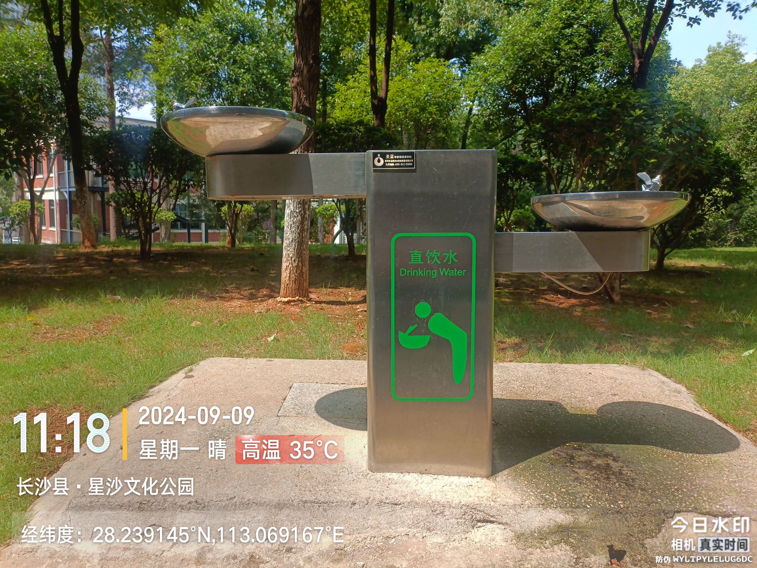 松柏公园旅行图片 1