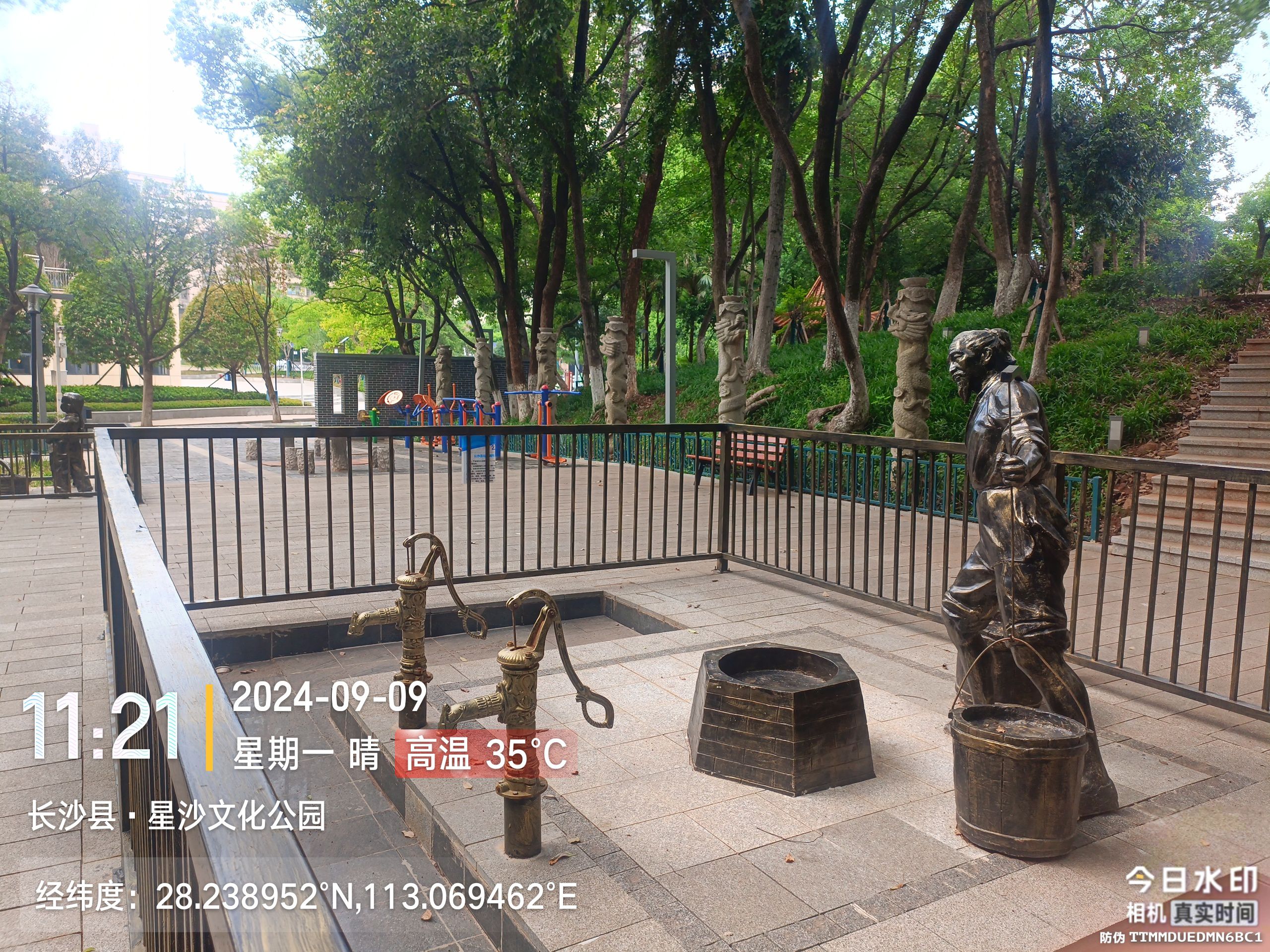 松柏公园旅行图片 2