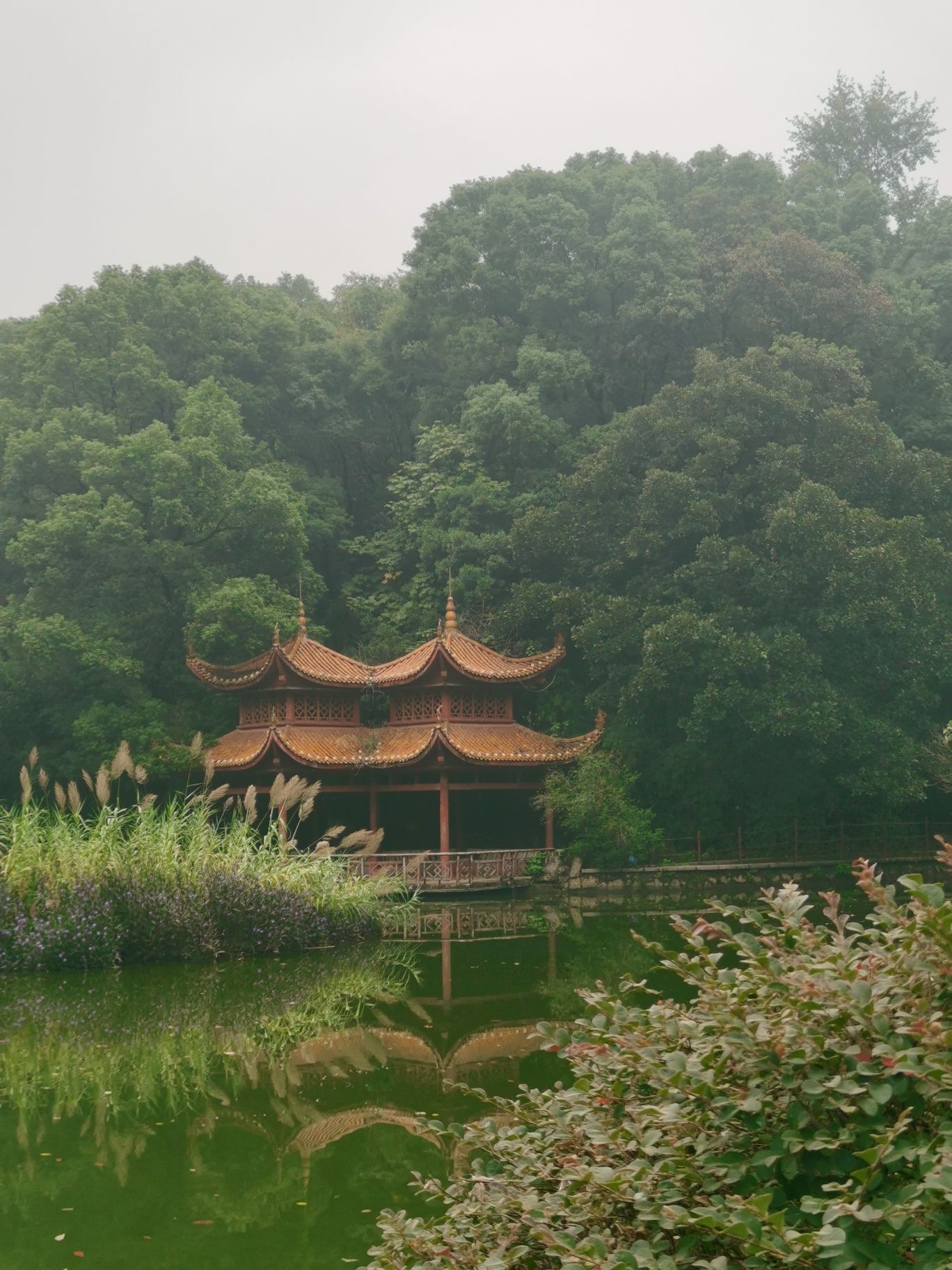 南郊公园旅行图片 1