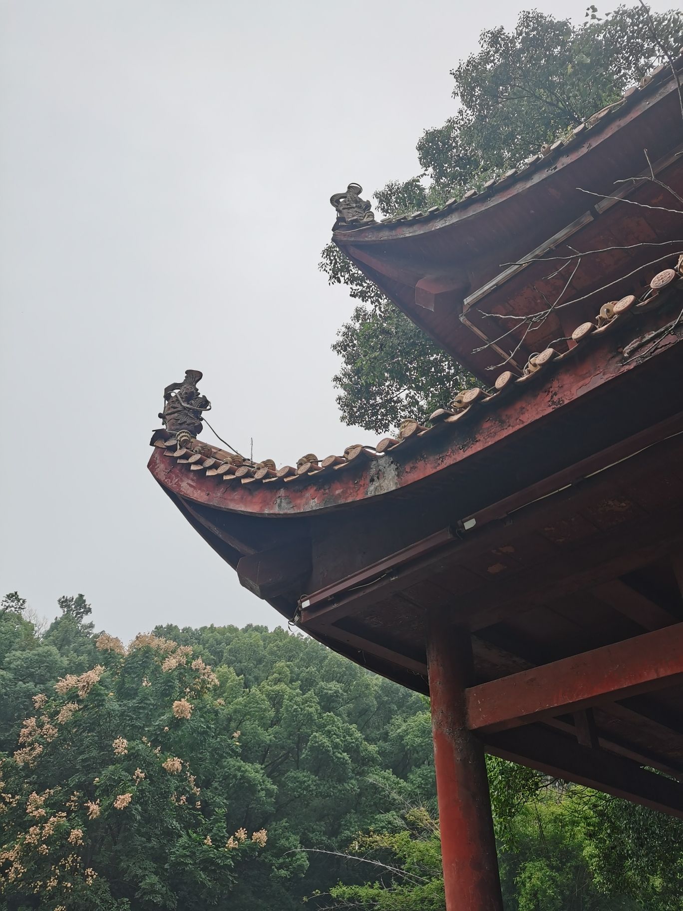 南郊公园旅行图片 3