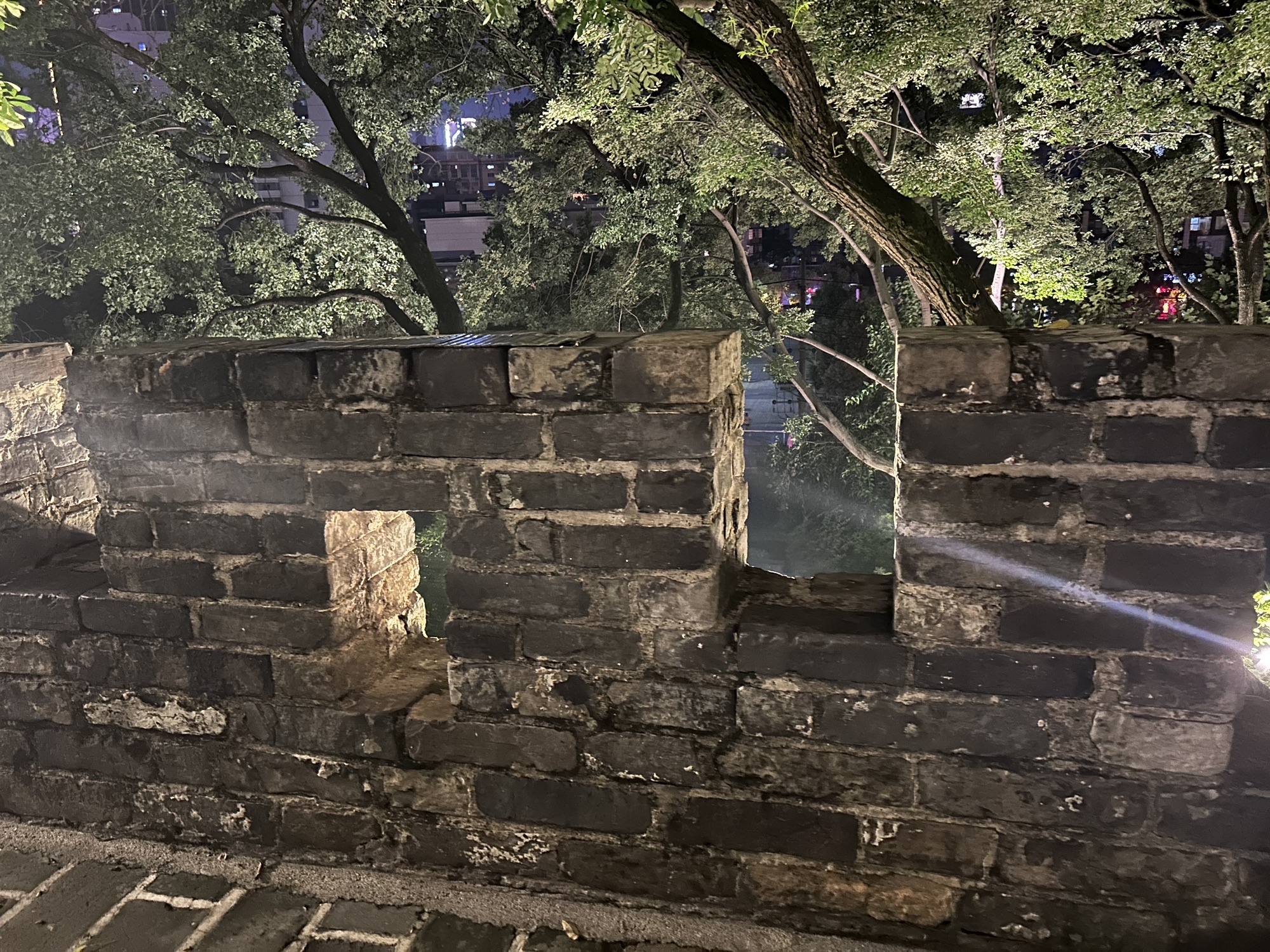 天心公园旅行图片 2