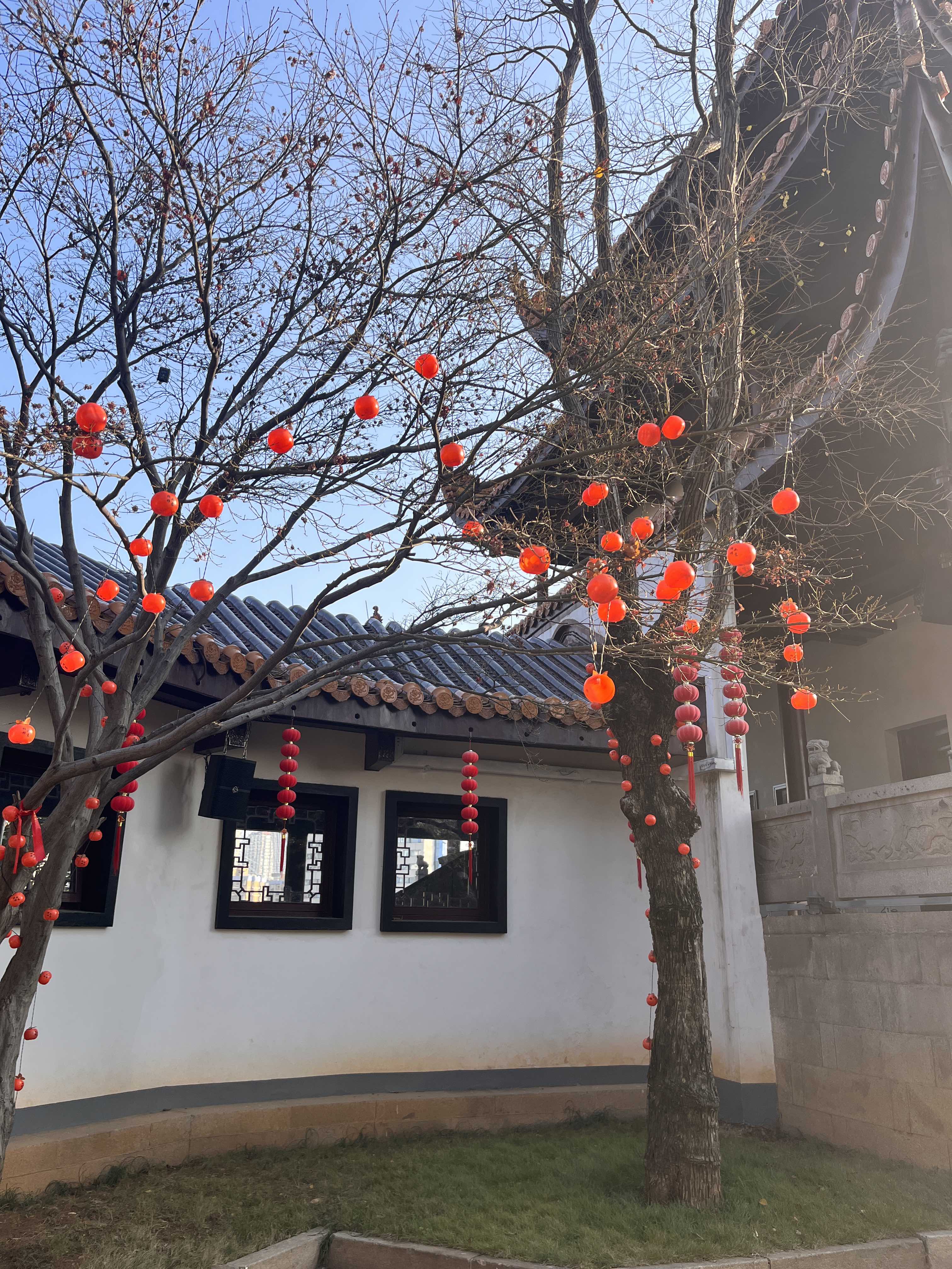 天心公园旅行图片 2