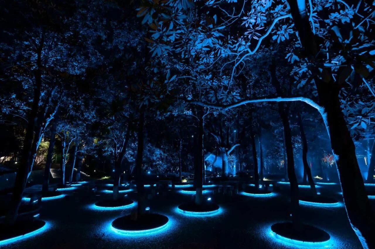 天心公园旅行图片 2