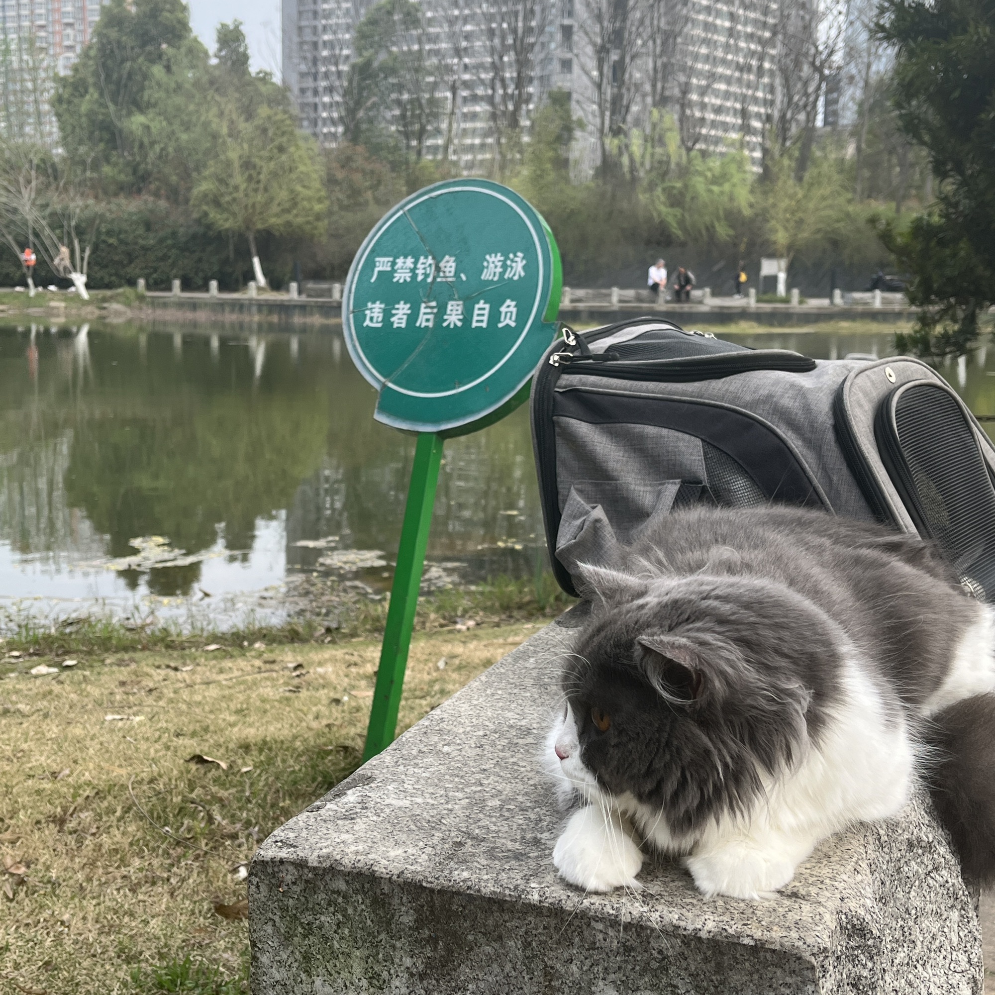 长沙红星社区公园