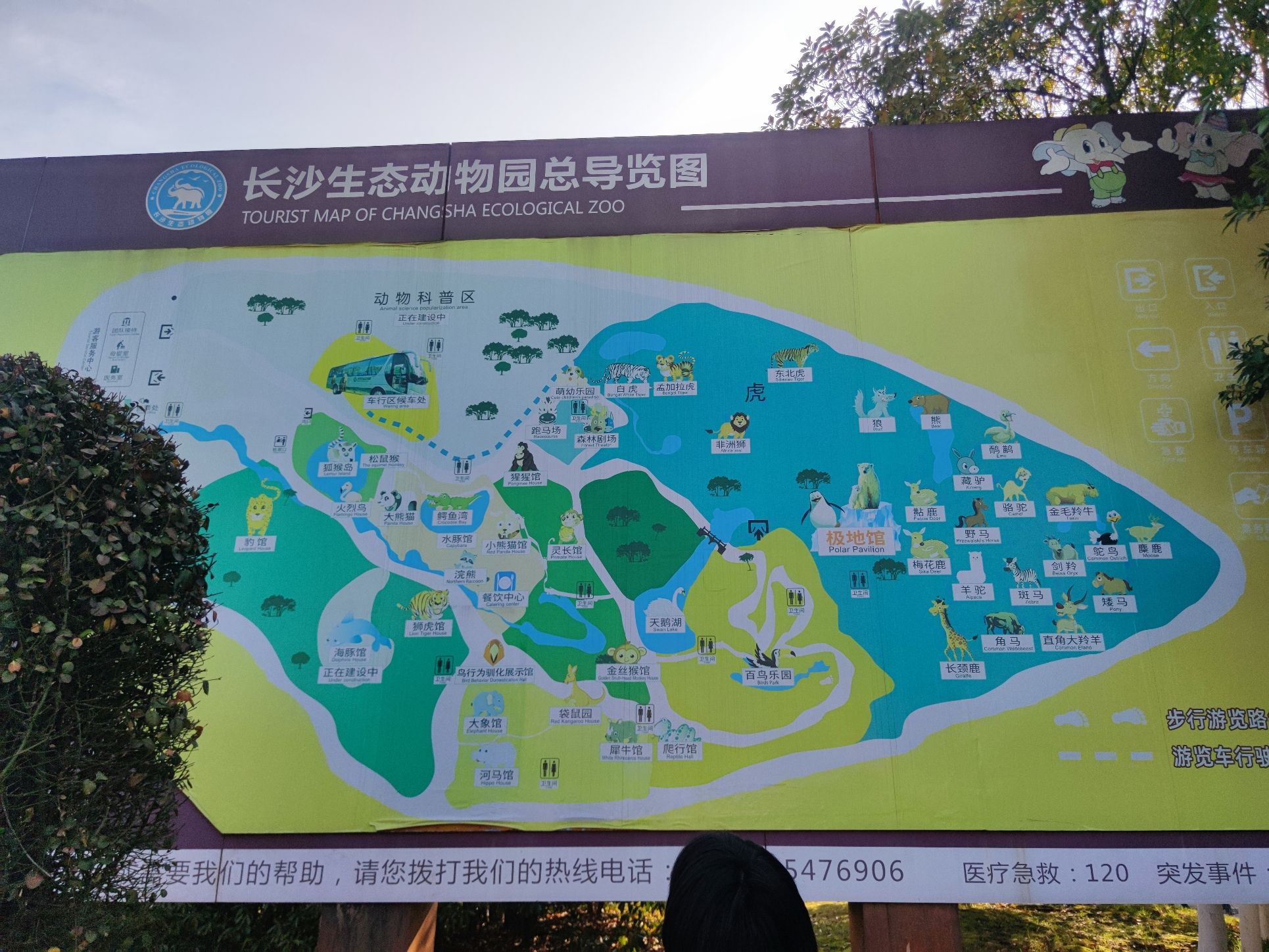 长沙生态动物园旅行图片 2