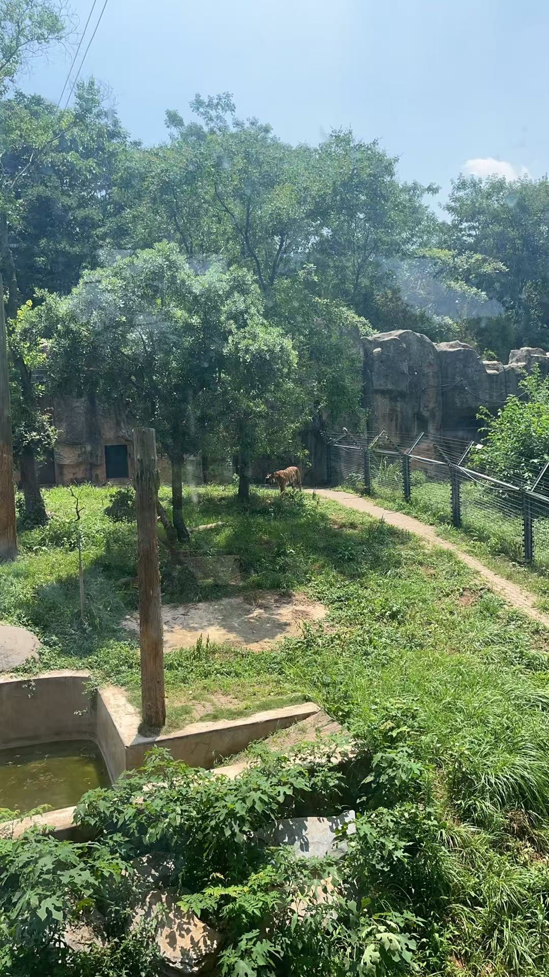长沙生态动物园旅行图片 1