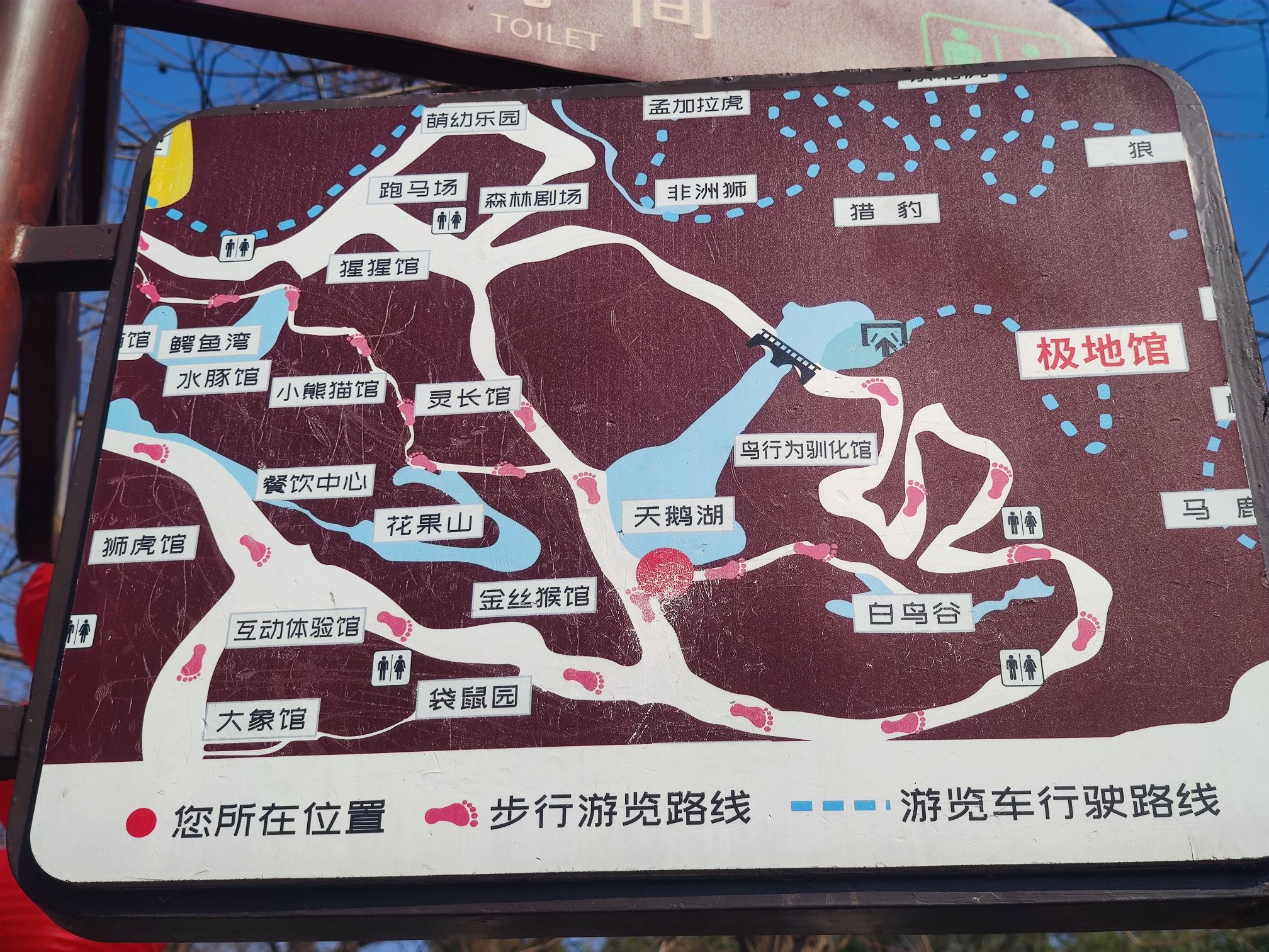 长沙生态动物园旅行图片 3