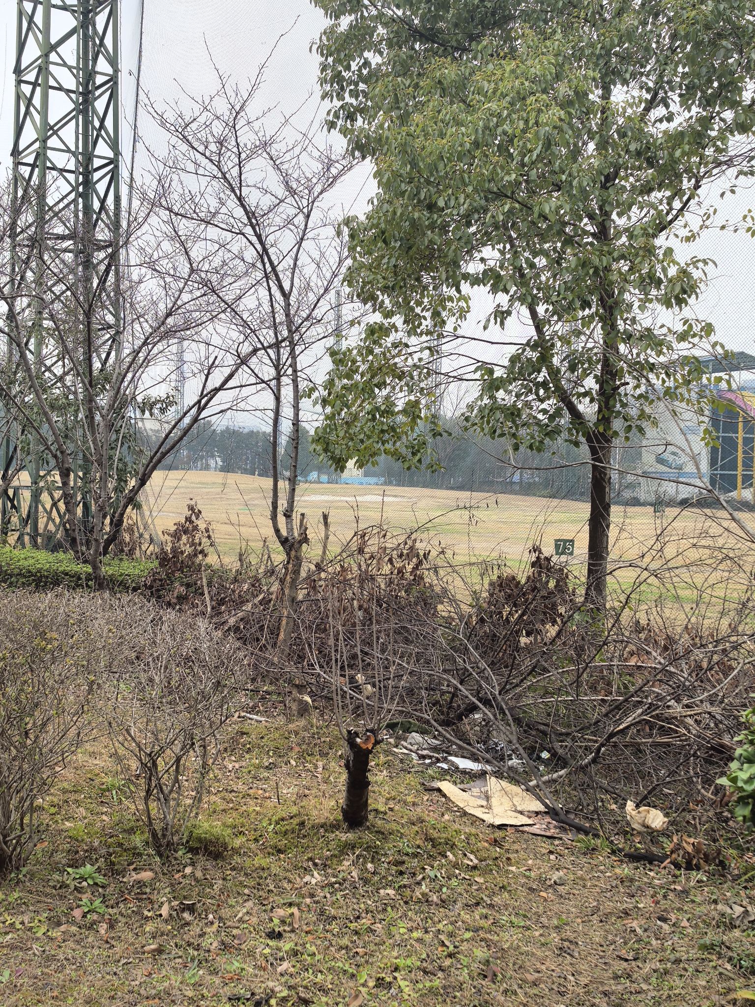 保利·麓谷体育公园旅行图片 3