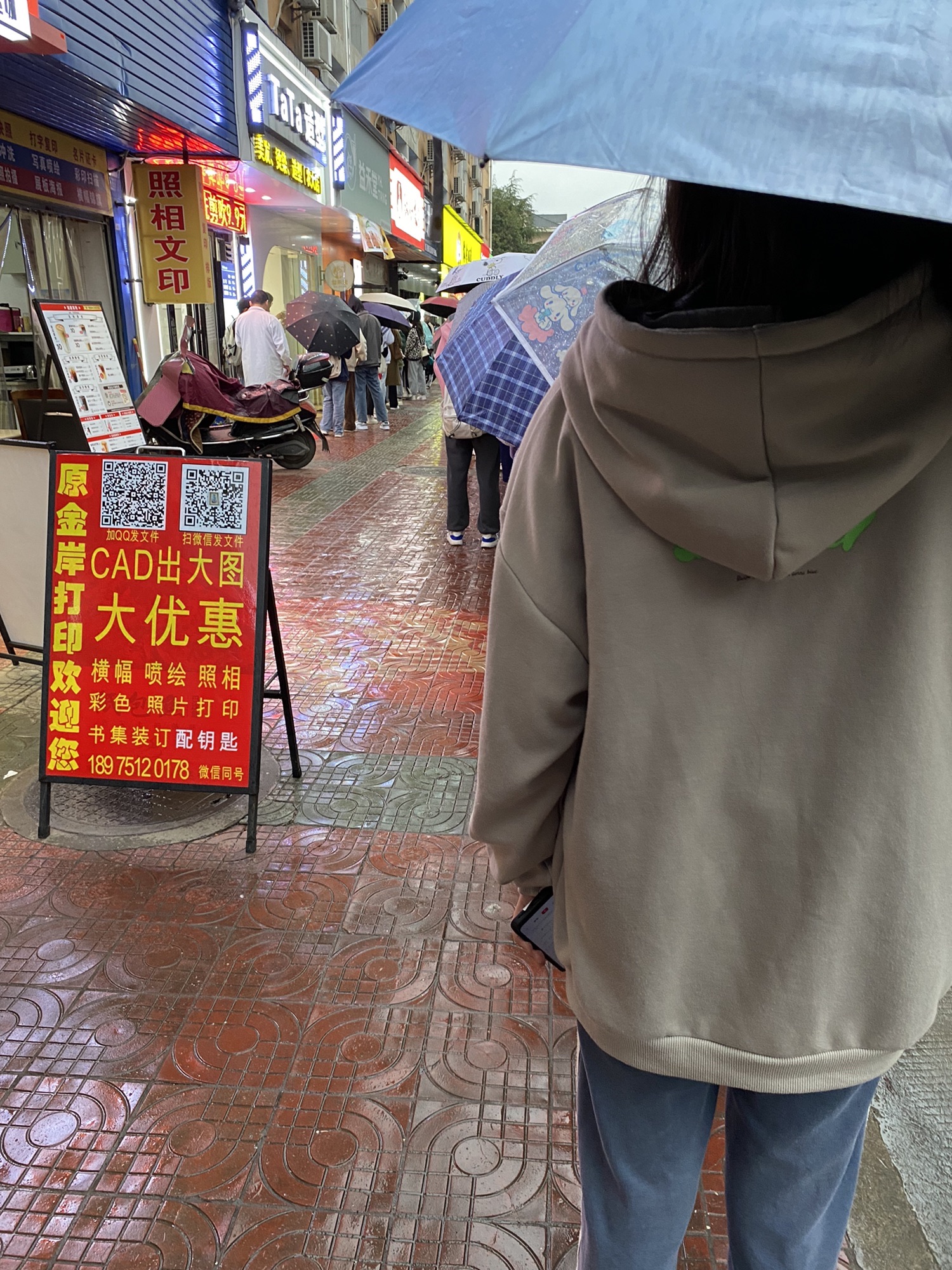 修业广场旅行图片 2