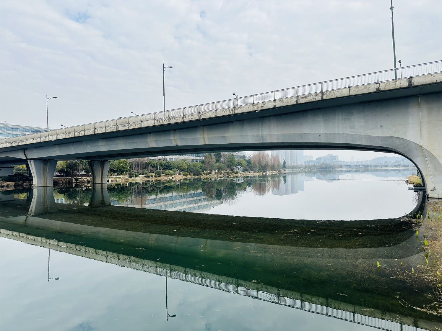 梅溪湖公园旅行图片 3