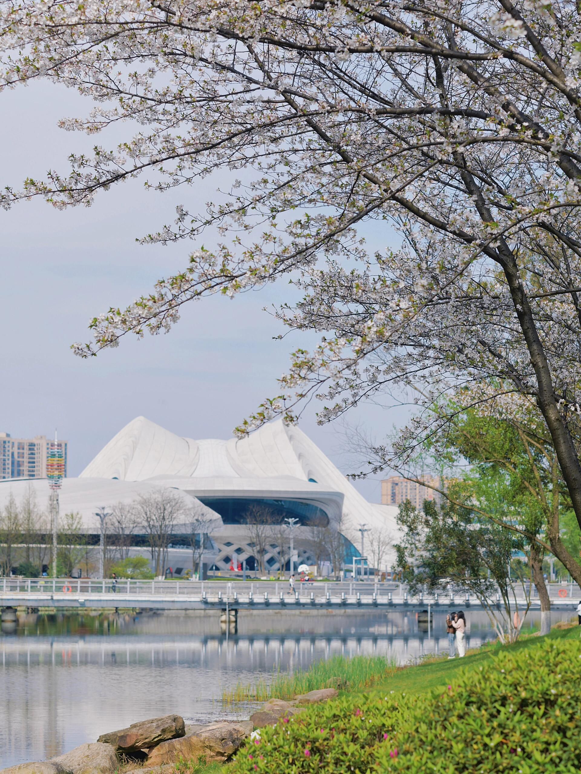 梅溪湖公园旅行图片 2