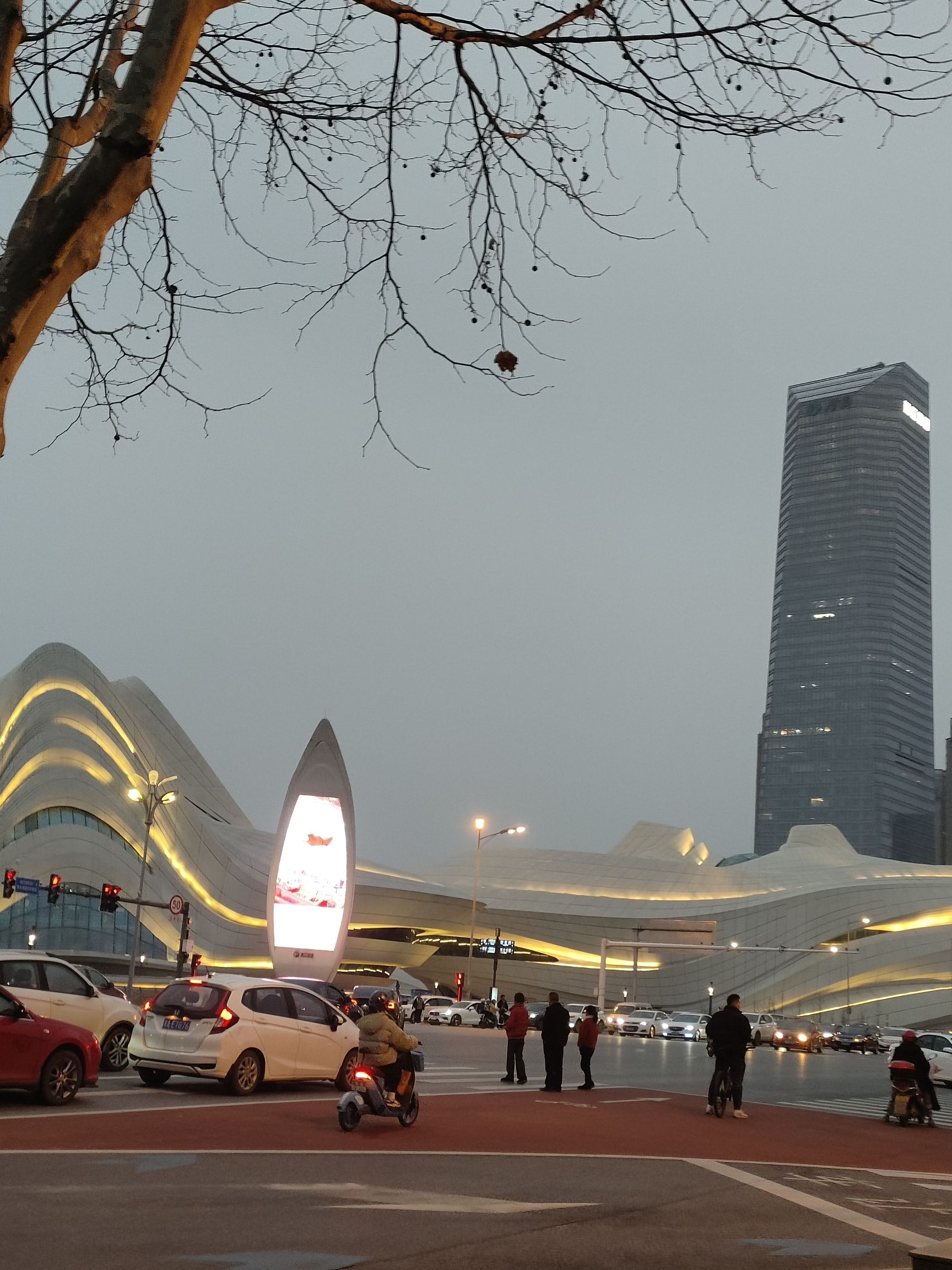梅溪湖公园旅行图片 3
