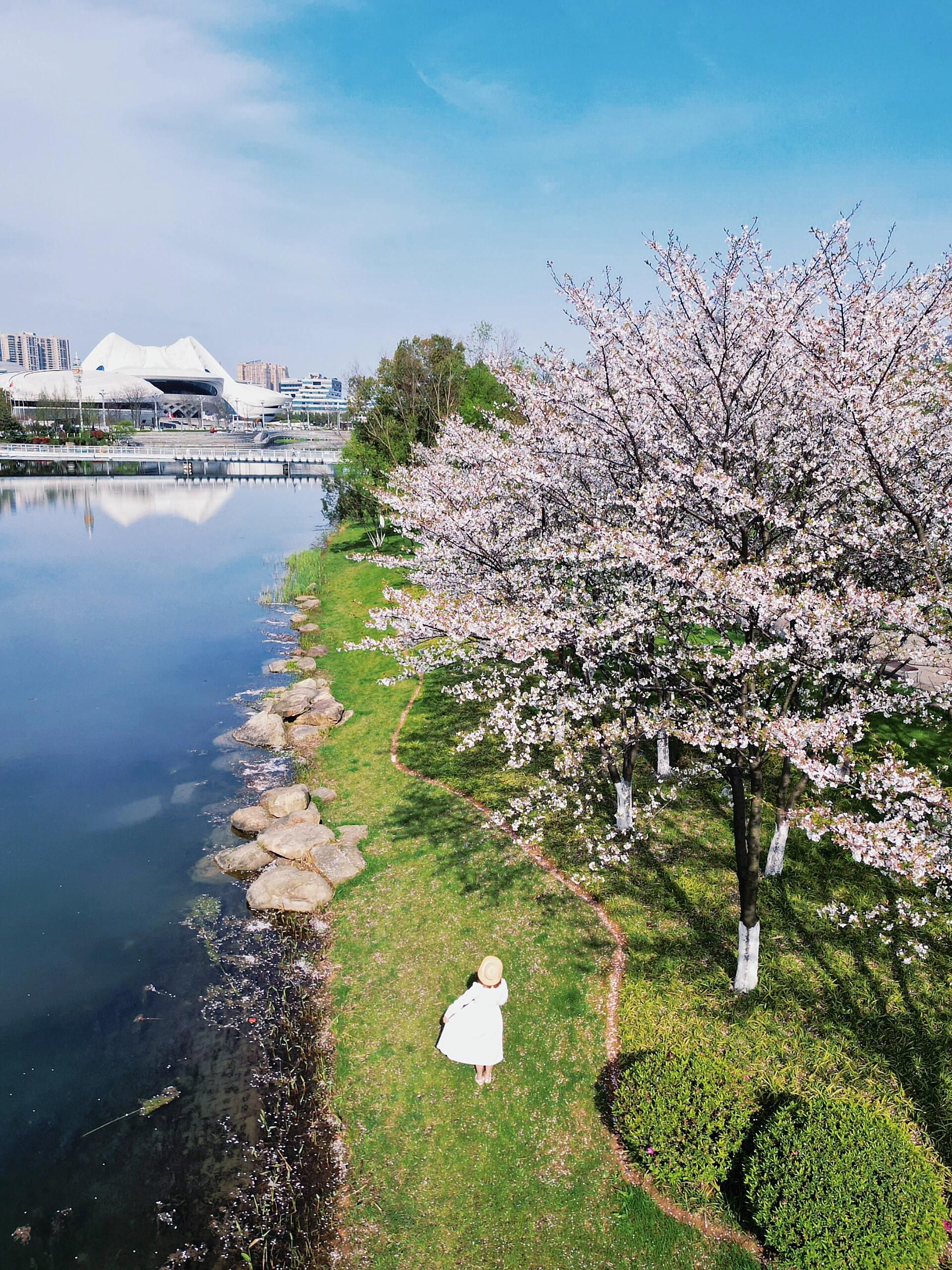 梅溪湖公园旅行图片 3