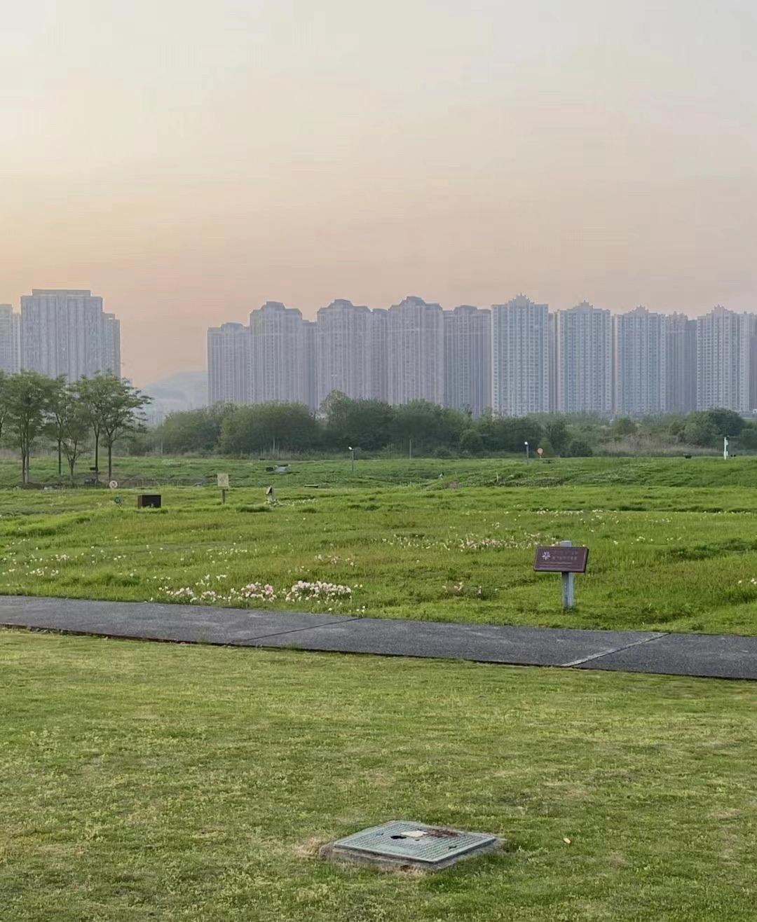 洋湖国家湿地公园旅行图片 2