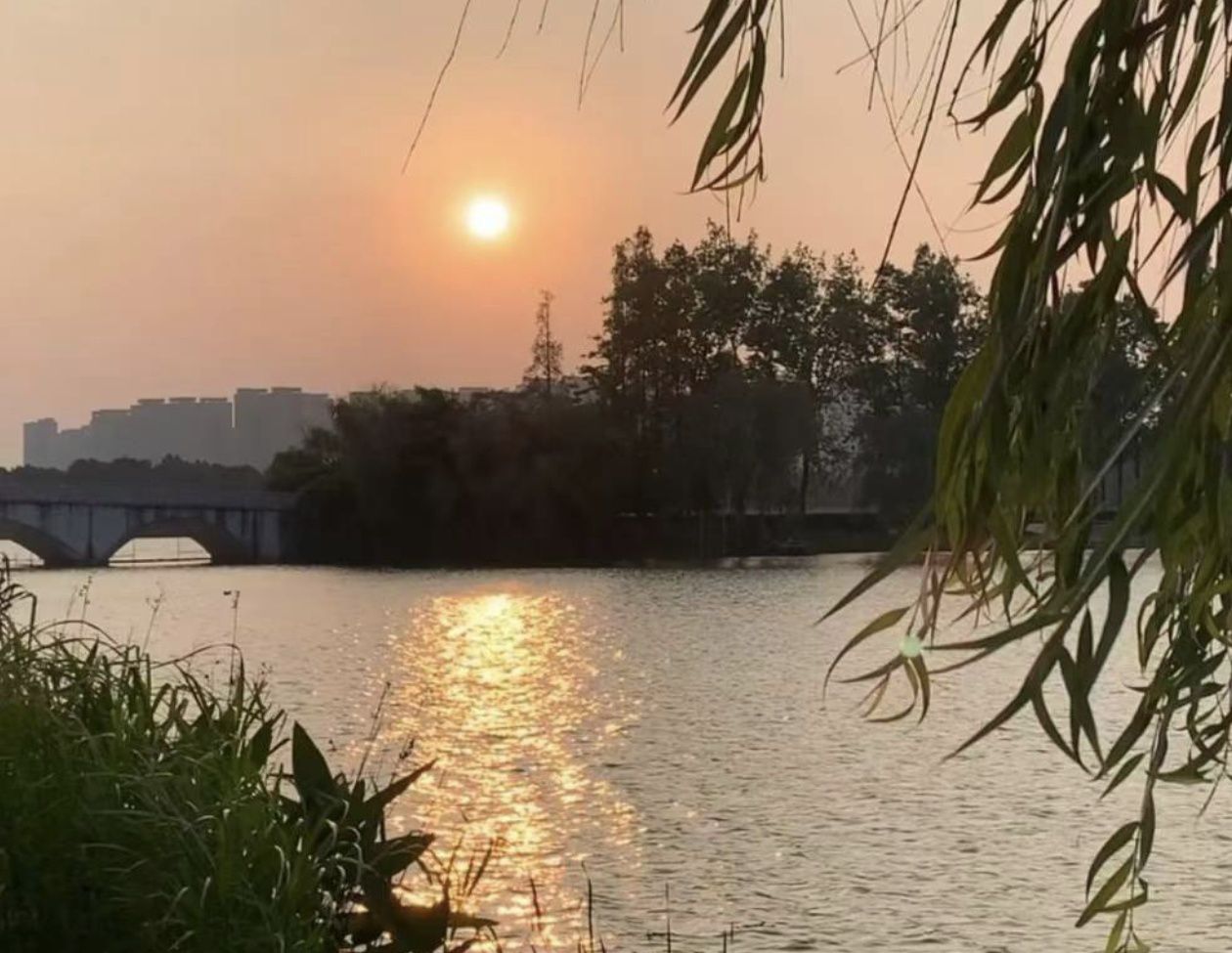 洋湖国家湿地公园旅行图片 3