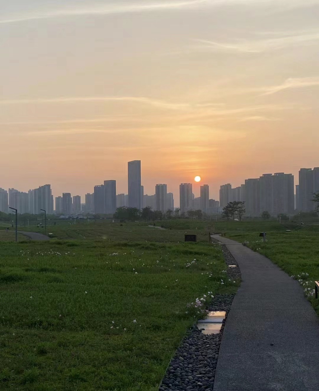 洋湖国家湿地公园旅行图片 3