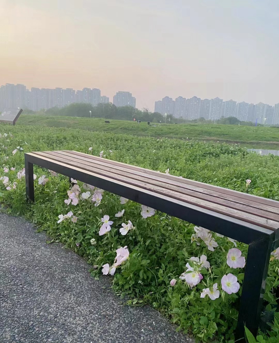洋湖国家湿地公园旅行图片 1