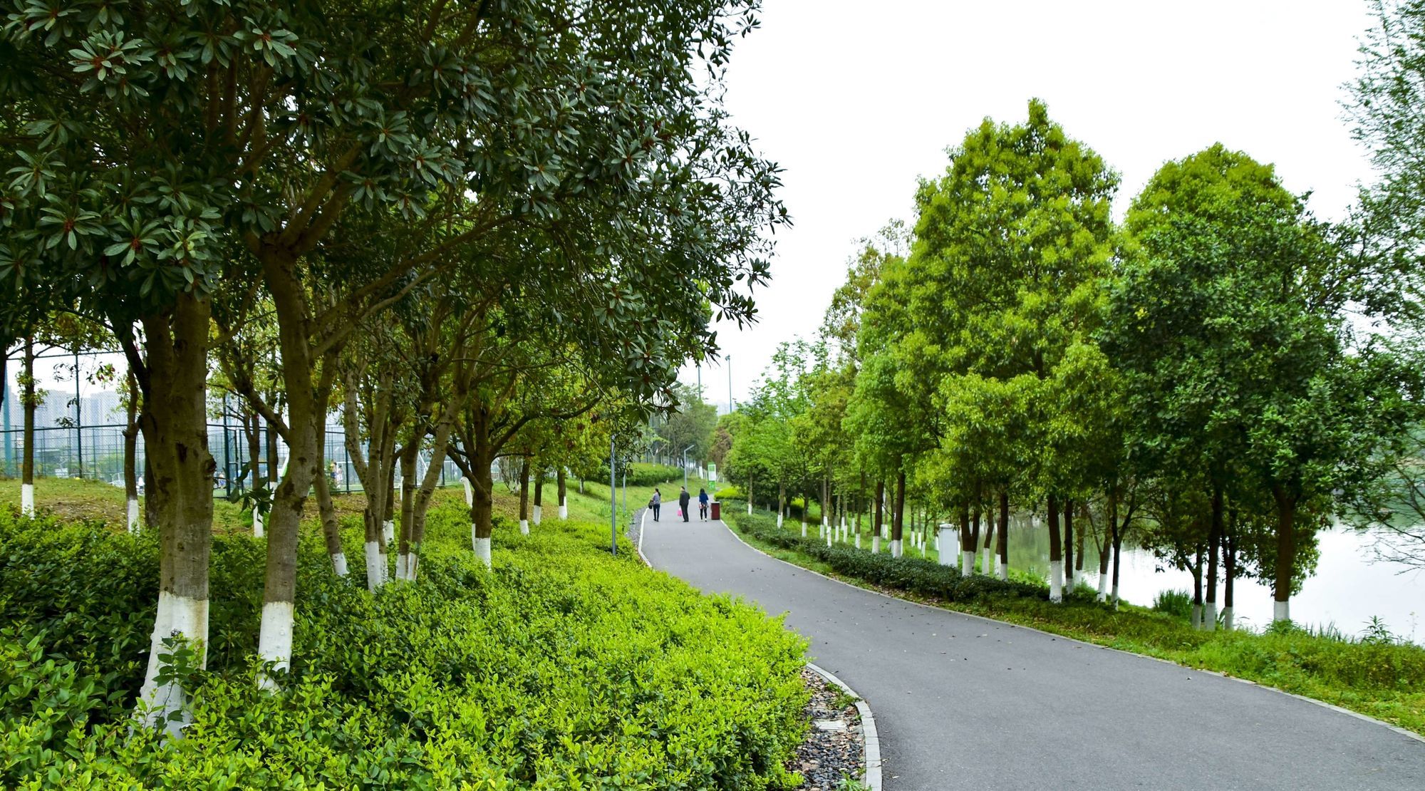 洋湖国家湿地公园旅行图片 1
