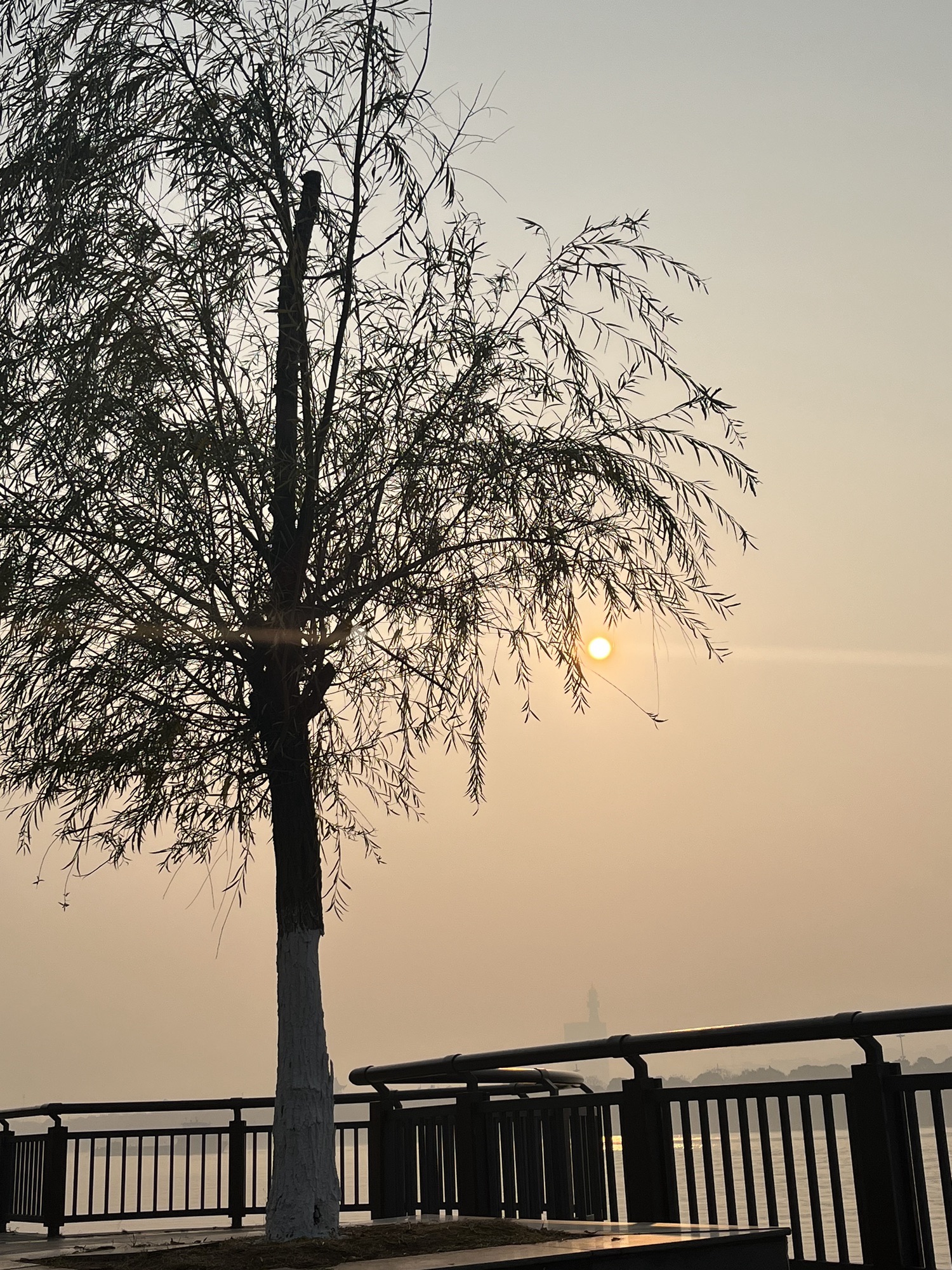 风帆广场旅行图片 2