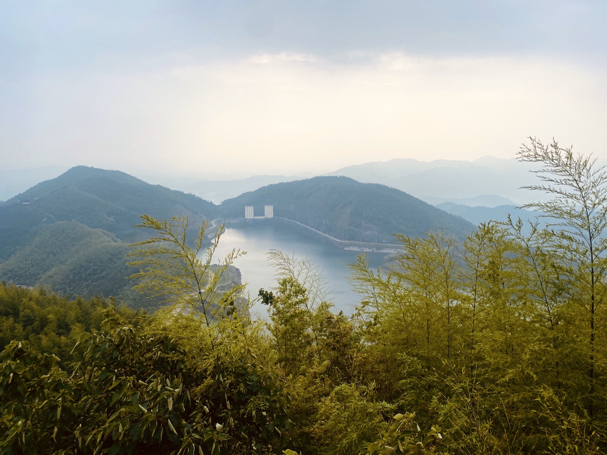 大山冲森林公园旅行图片 1