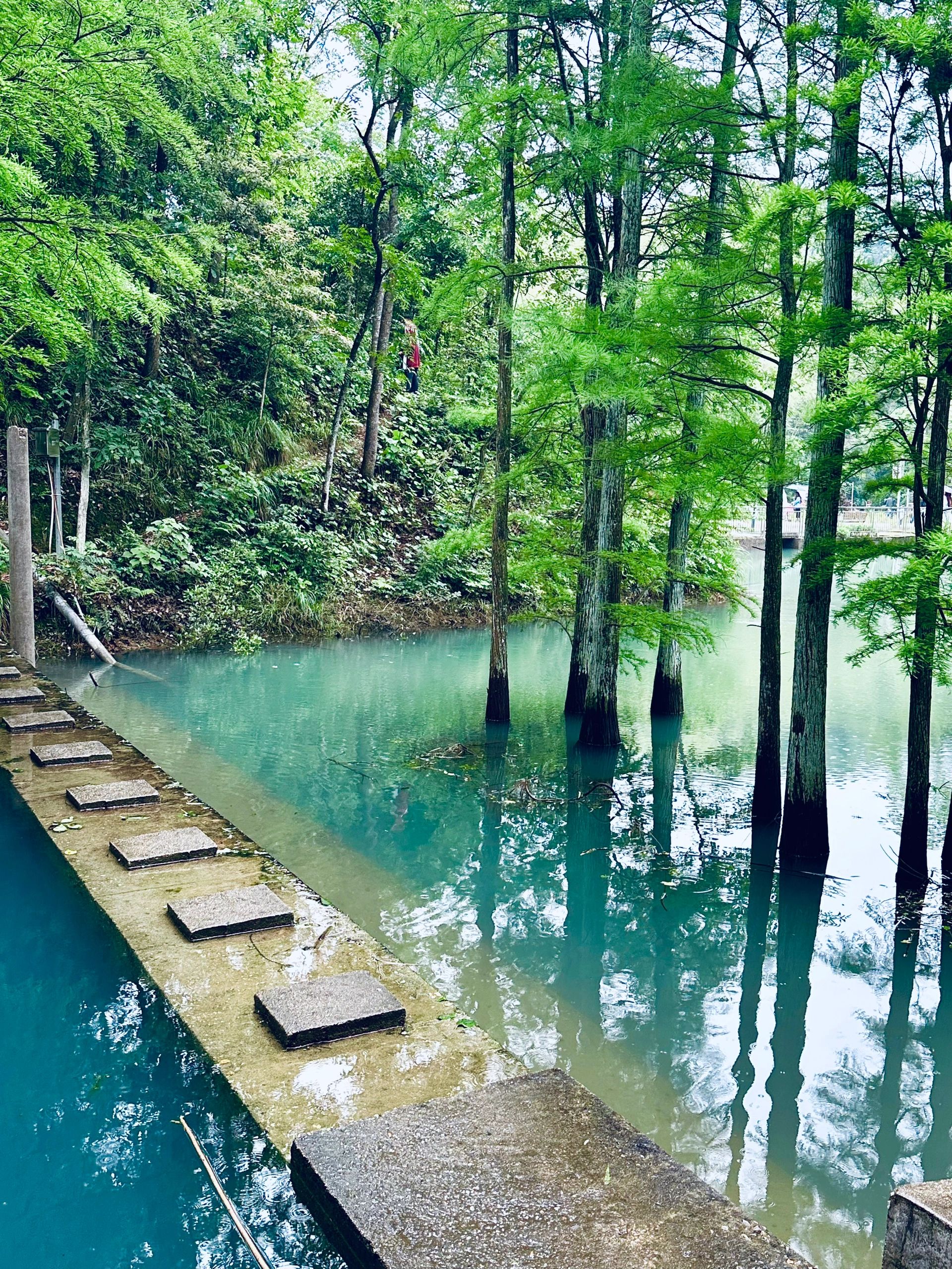 大山冲森林公园旅行图片 1