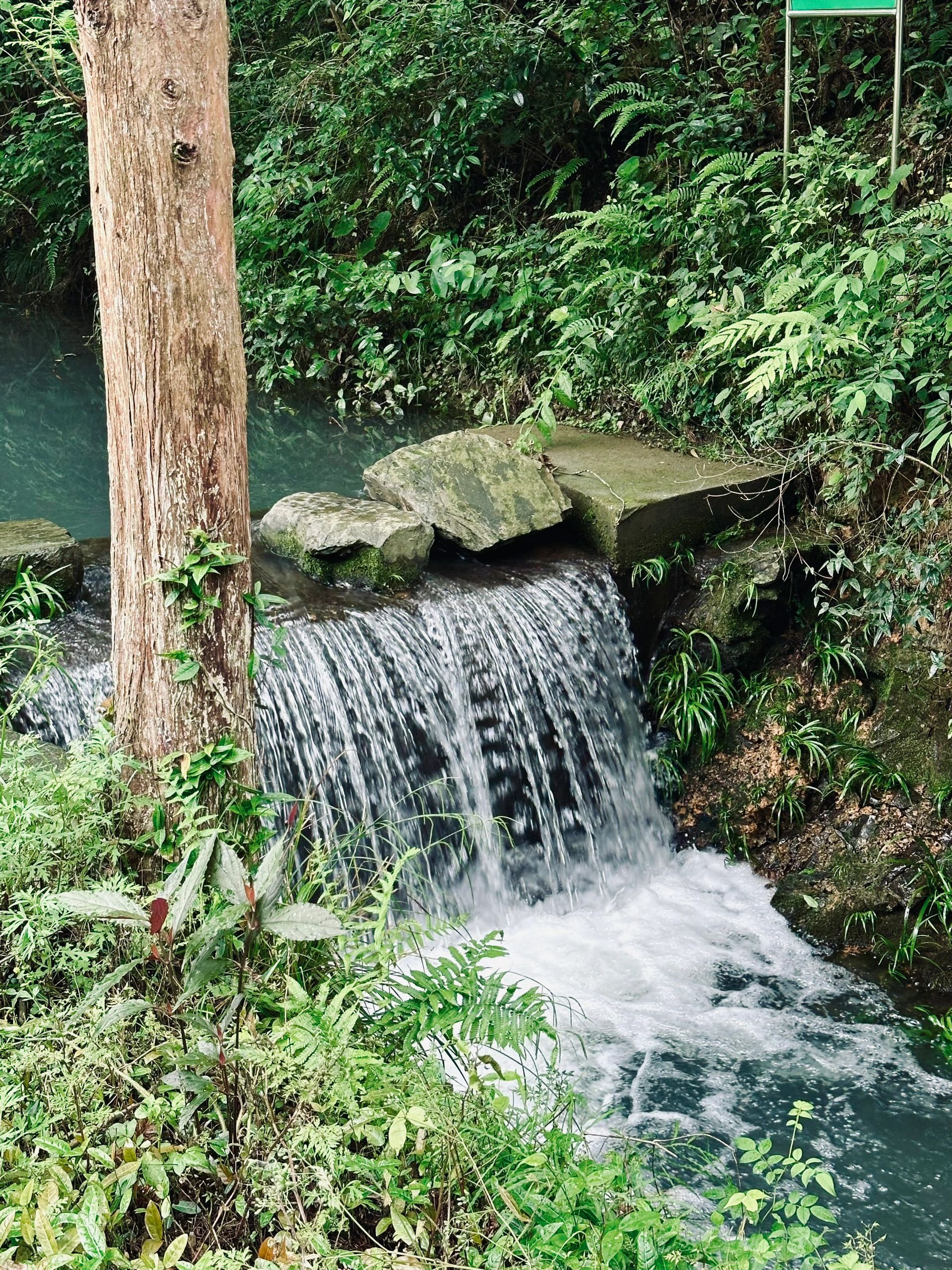 大山冲森林公园旅行图片 3